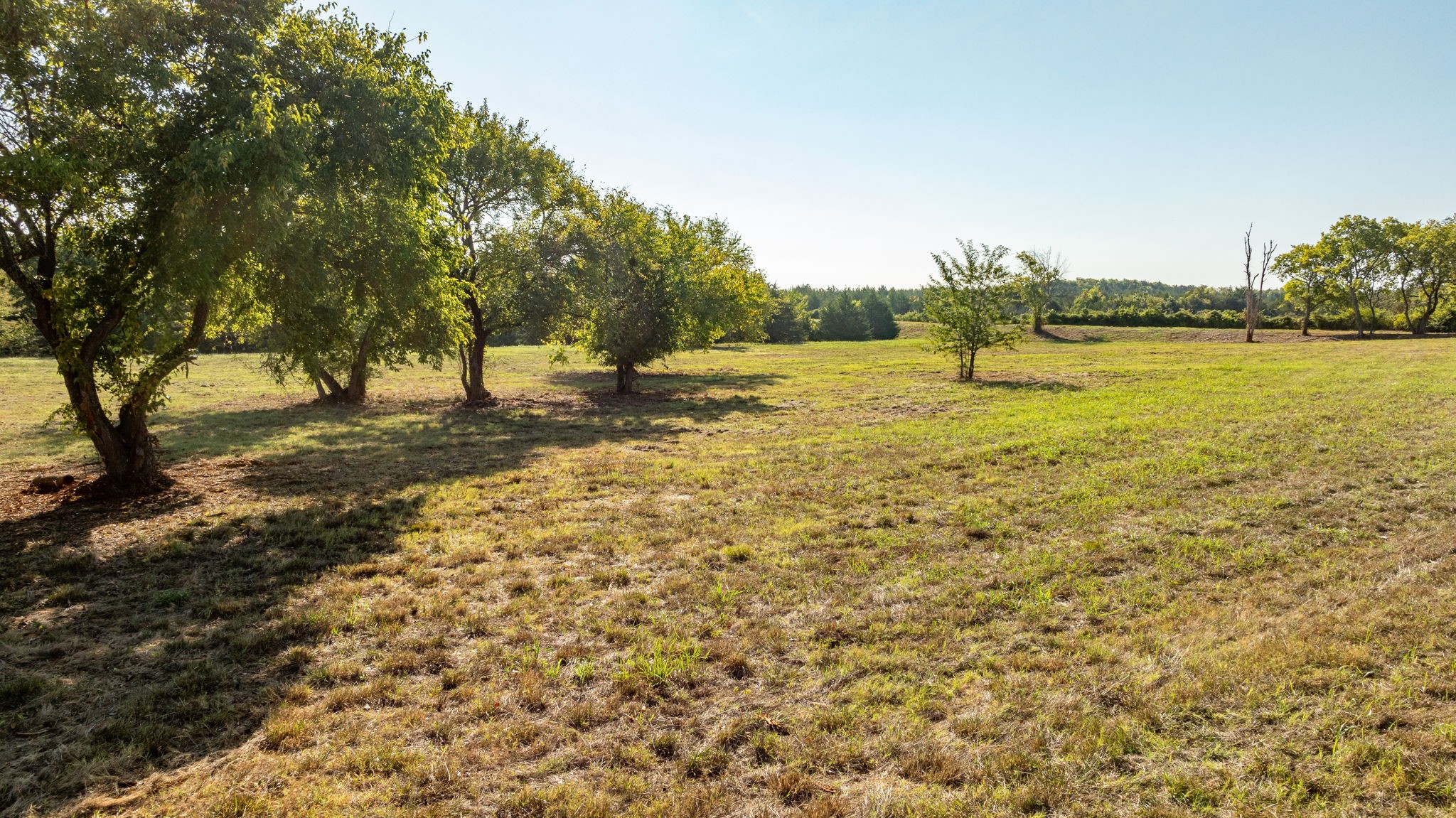 1001 County Road 2999