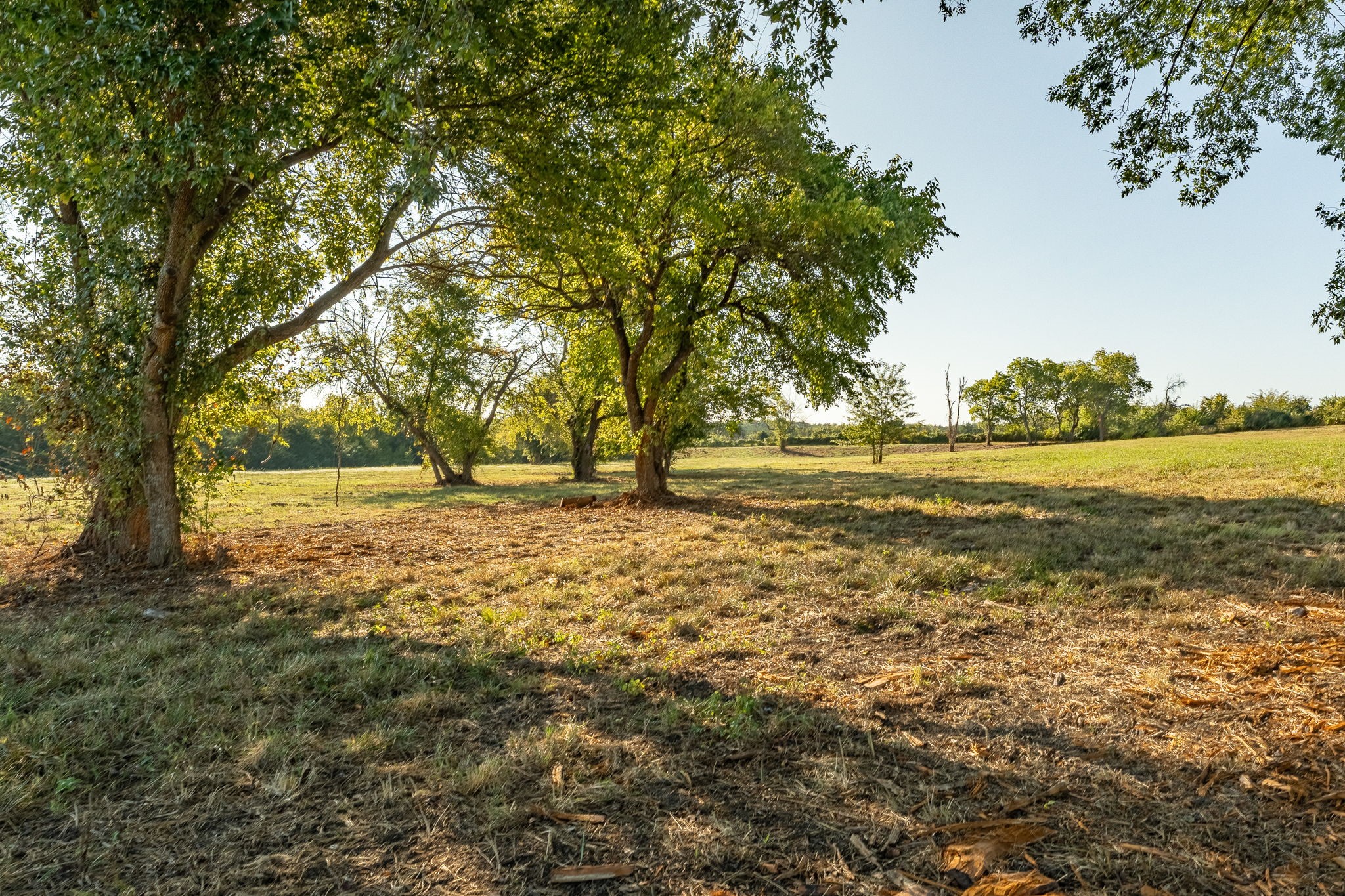 1001 County Road 2999