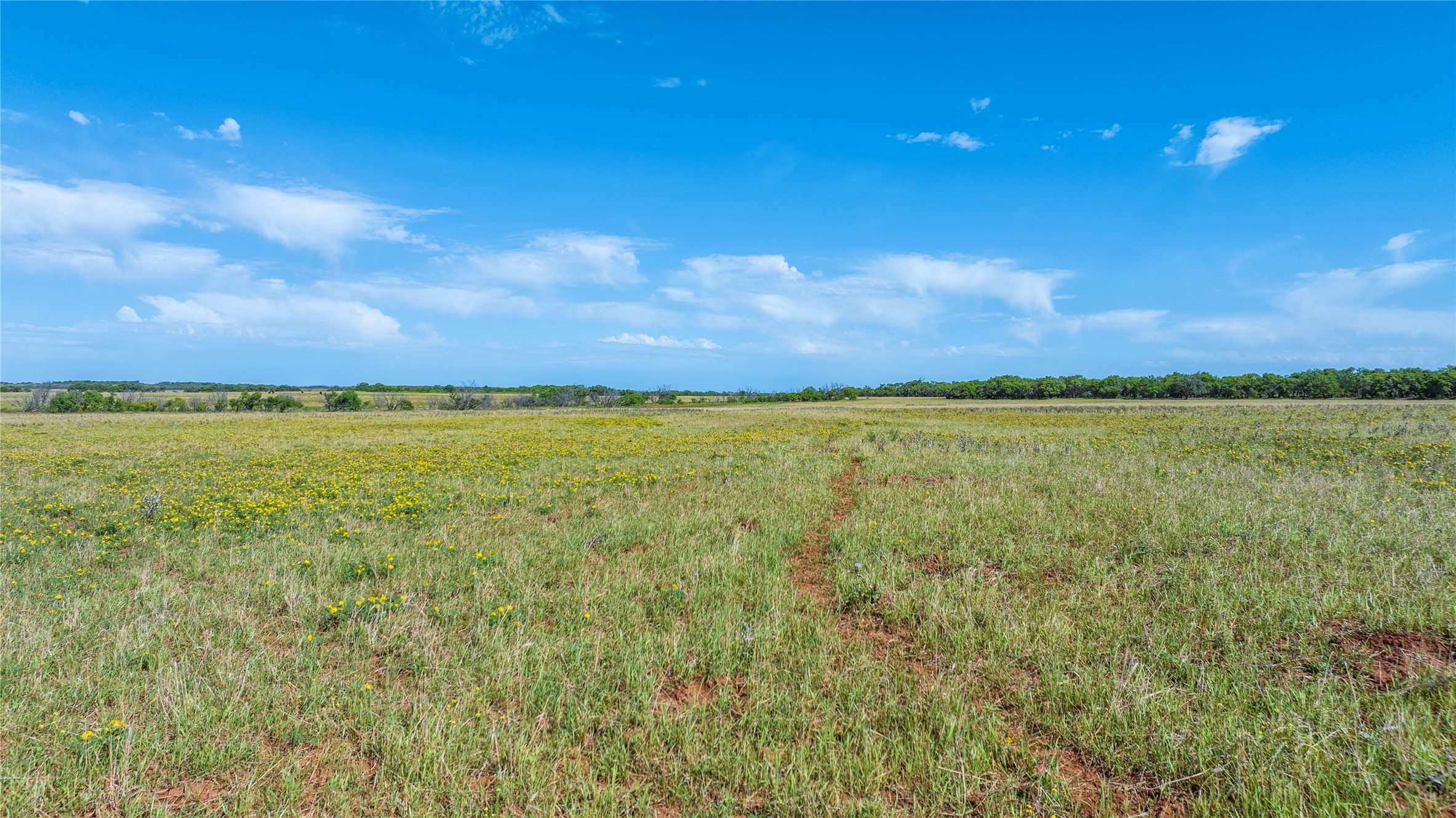 TBD Parkey Road