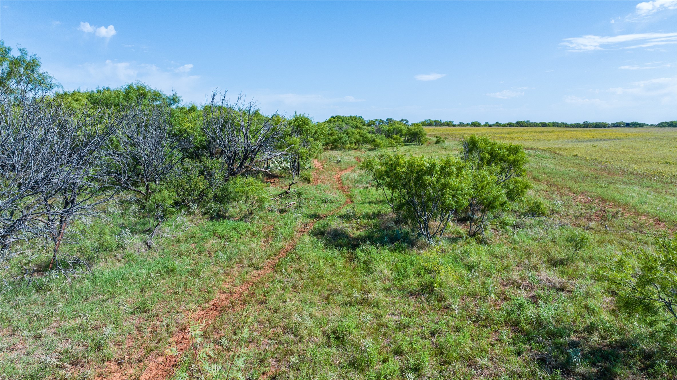 TBD Parkey Road