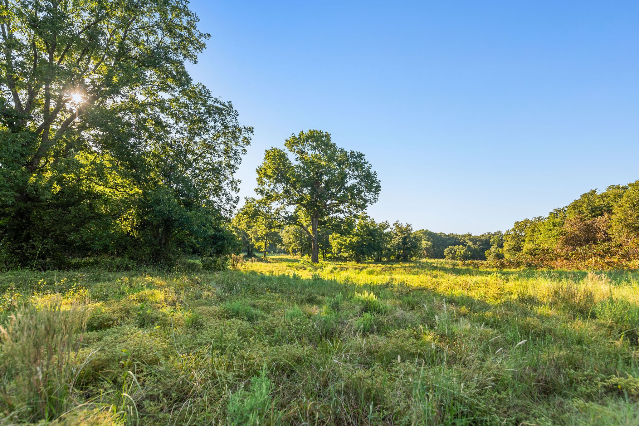 3773 Cottonwood Creek Road