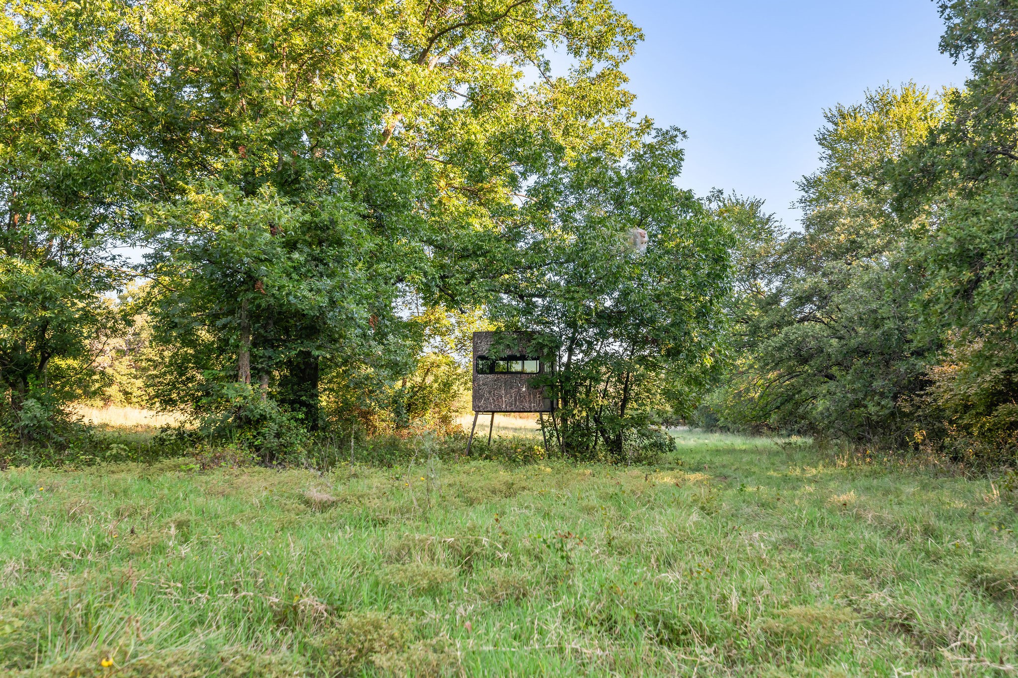 3773 Cottonwood Creek Road