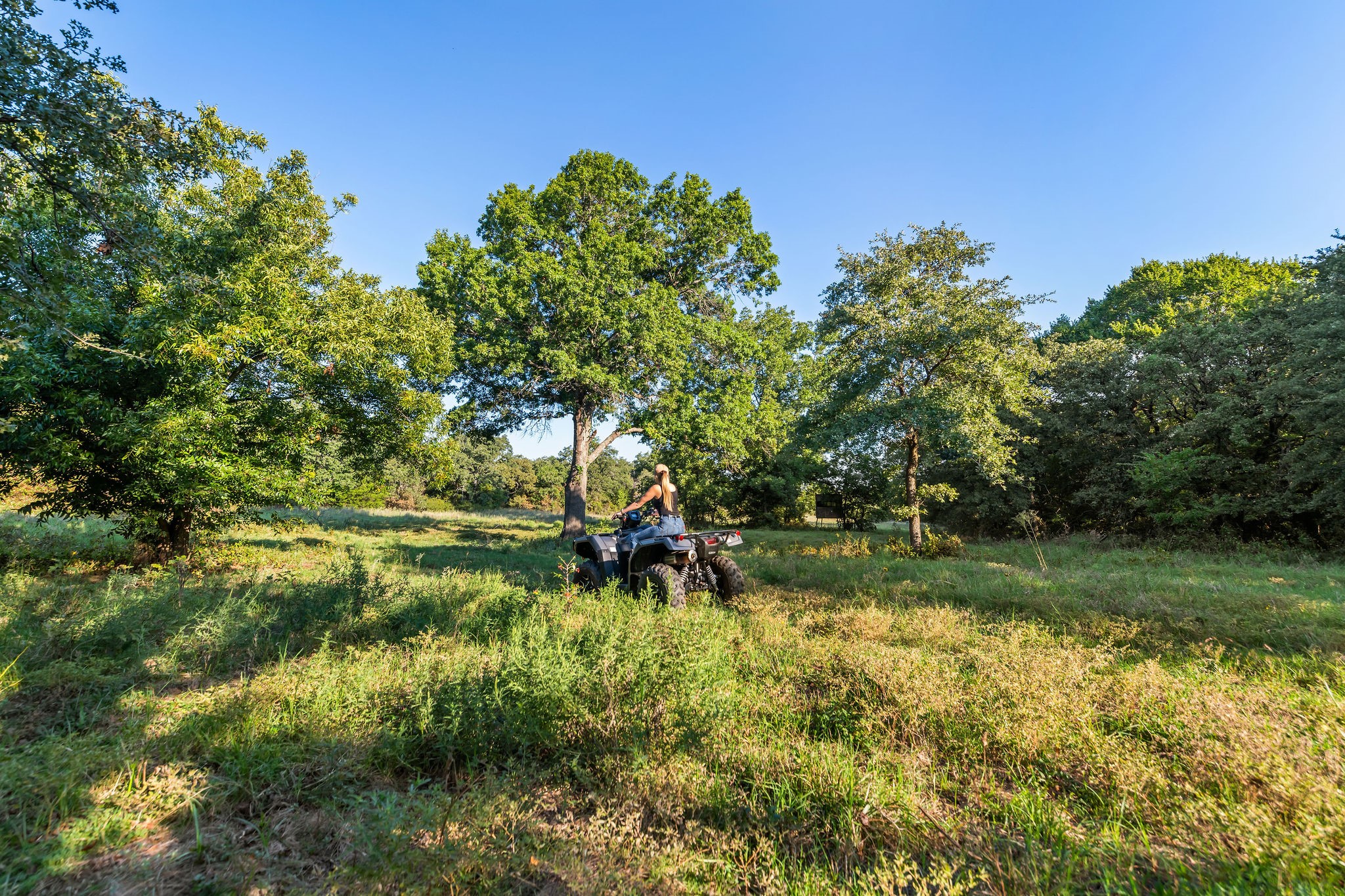 3773 Cottonwood Creek Road