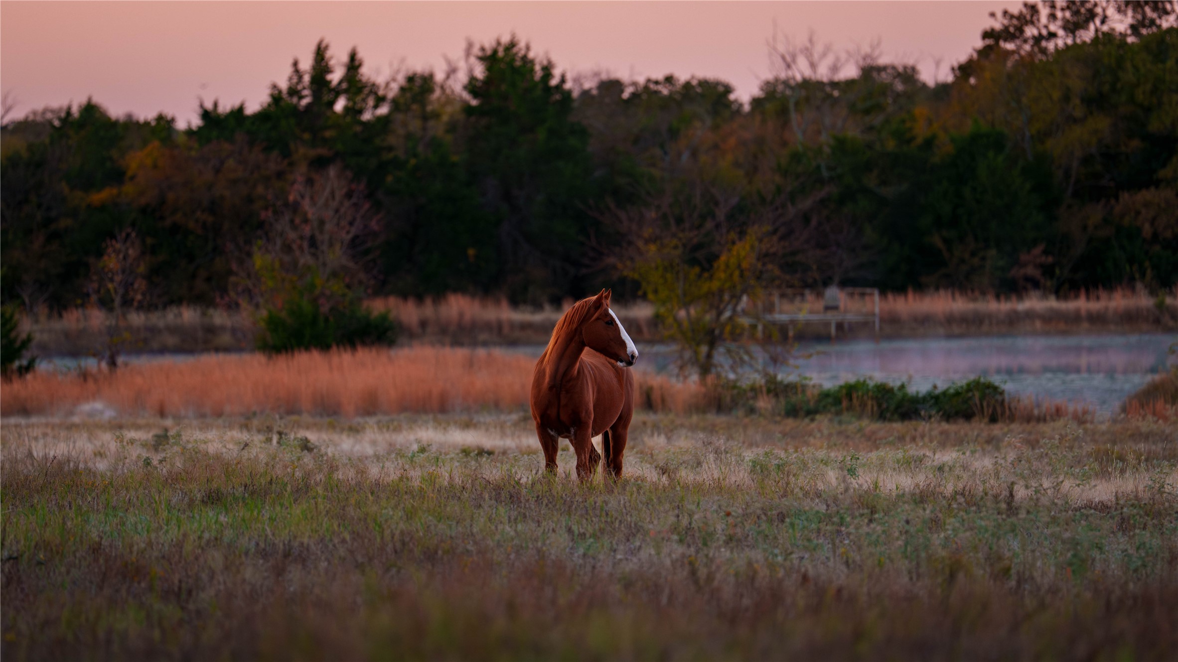 1210 County Road 232