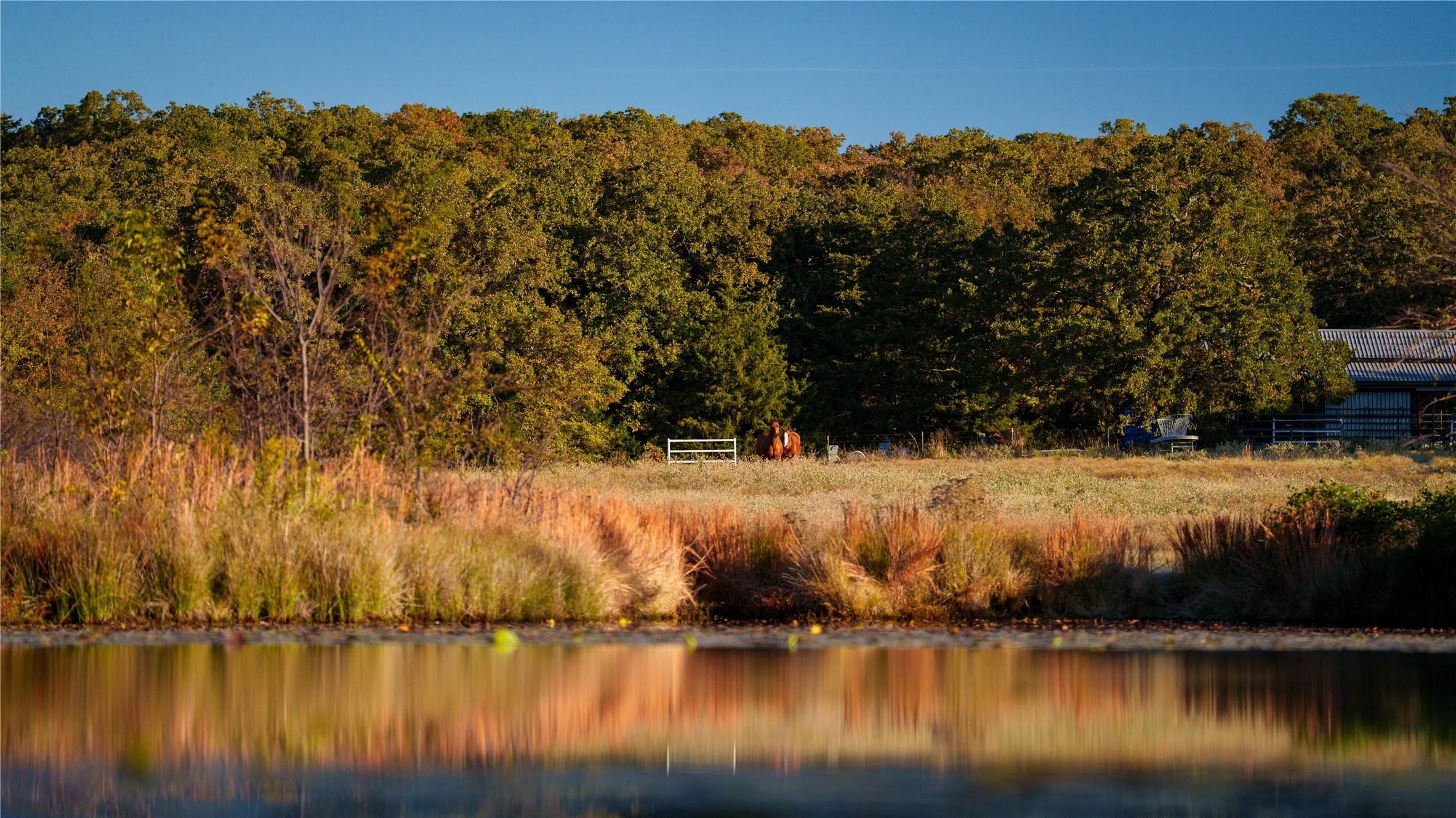 1210 County Road 232