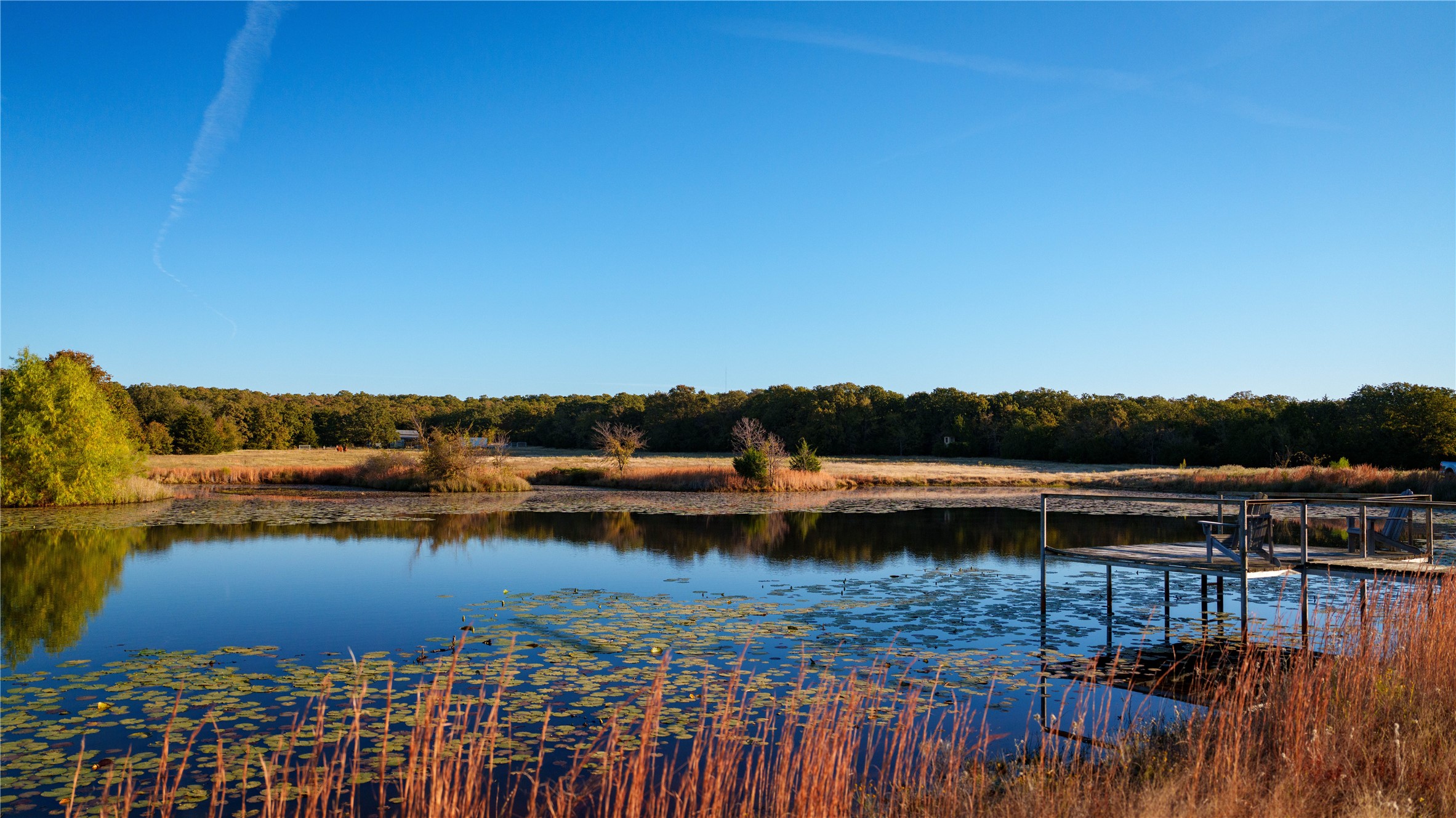 1210 County Road 232