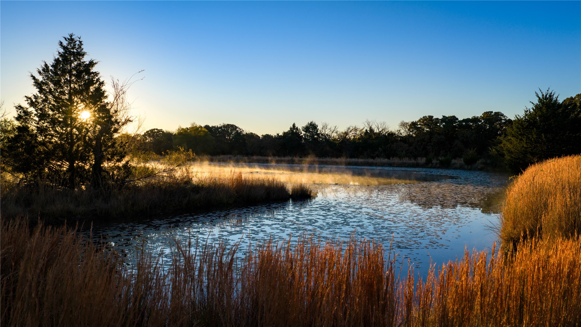 1210 County Road 232