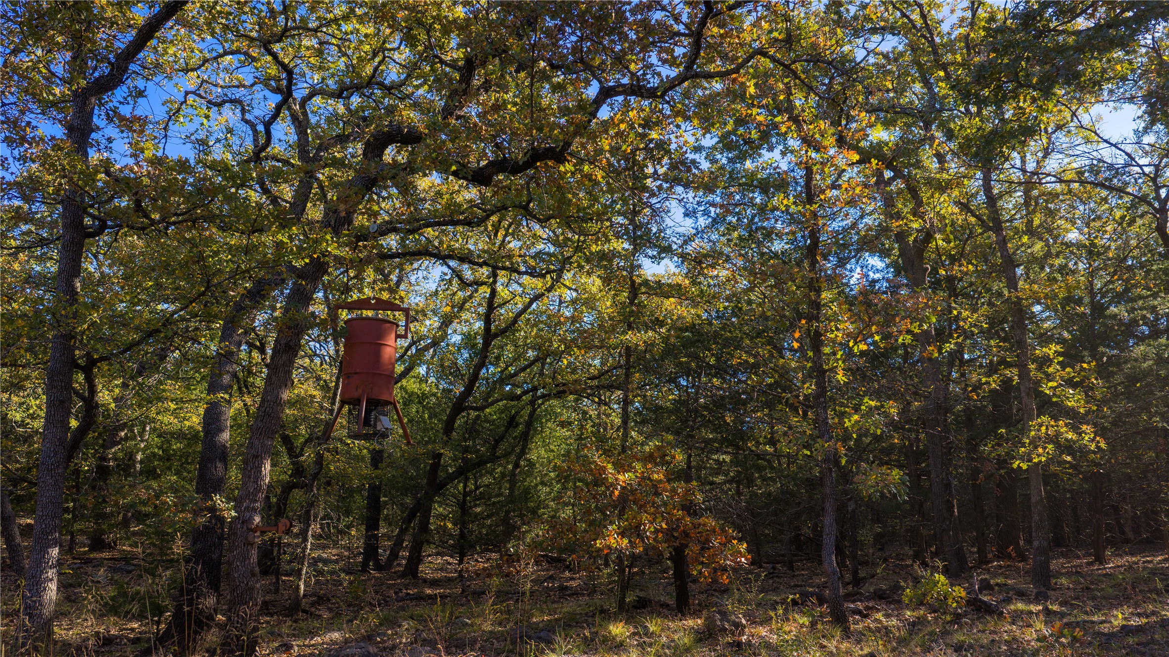 1210 County Road 232