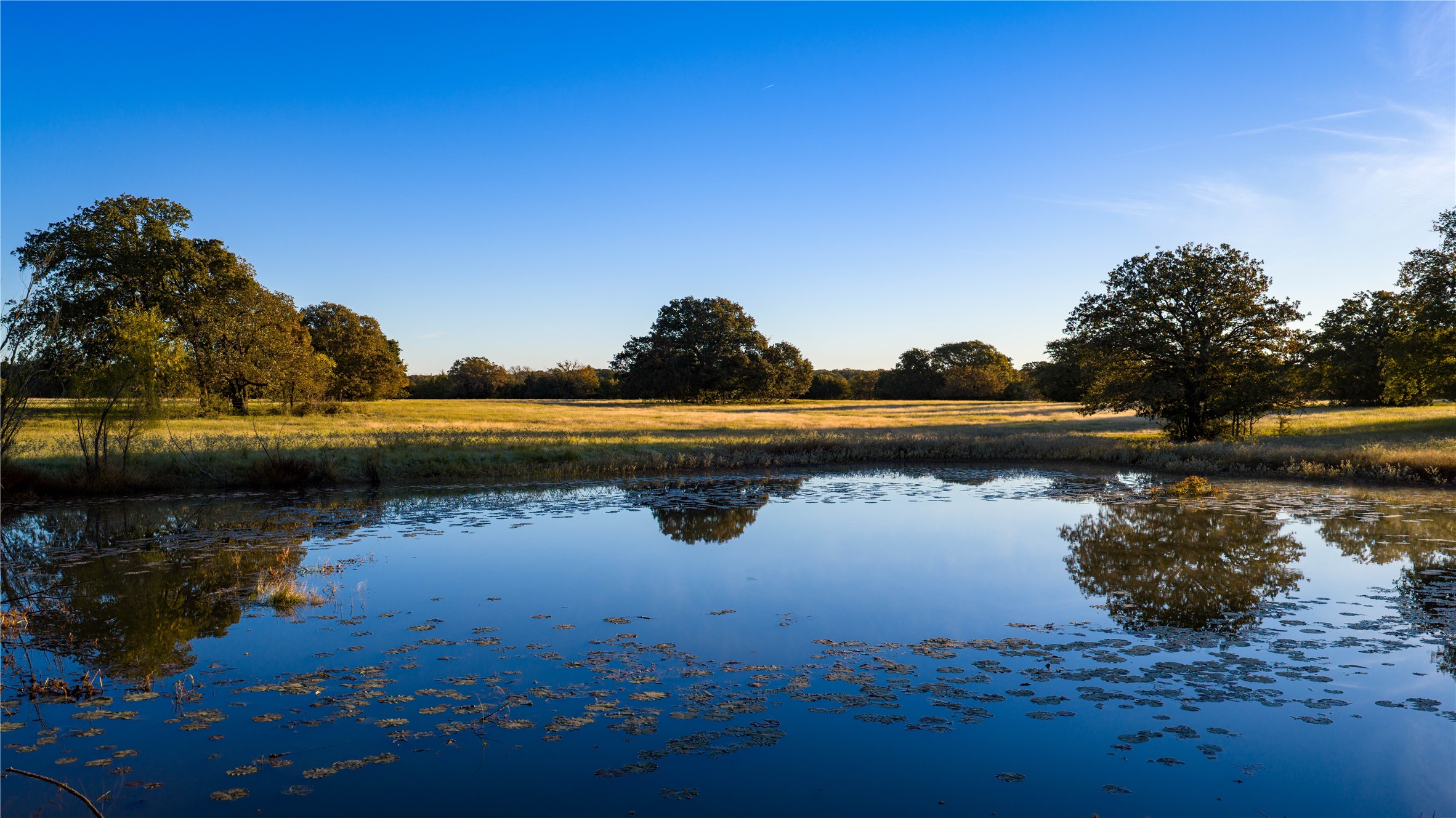 1210 County Road 232