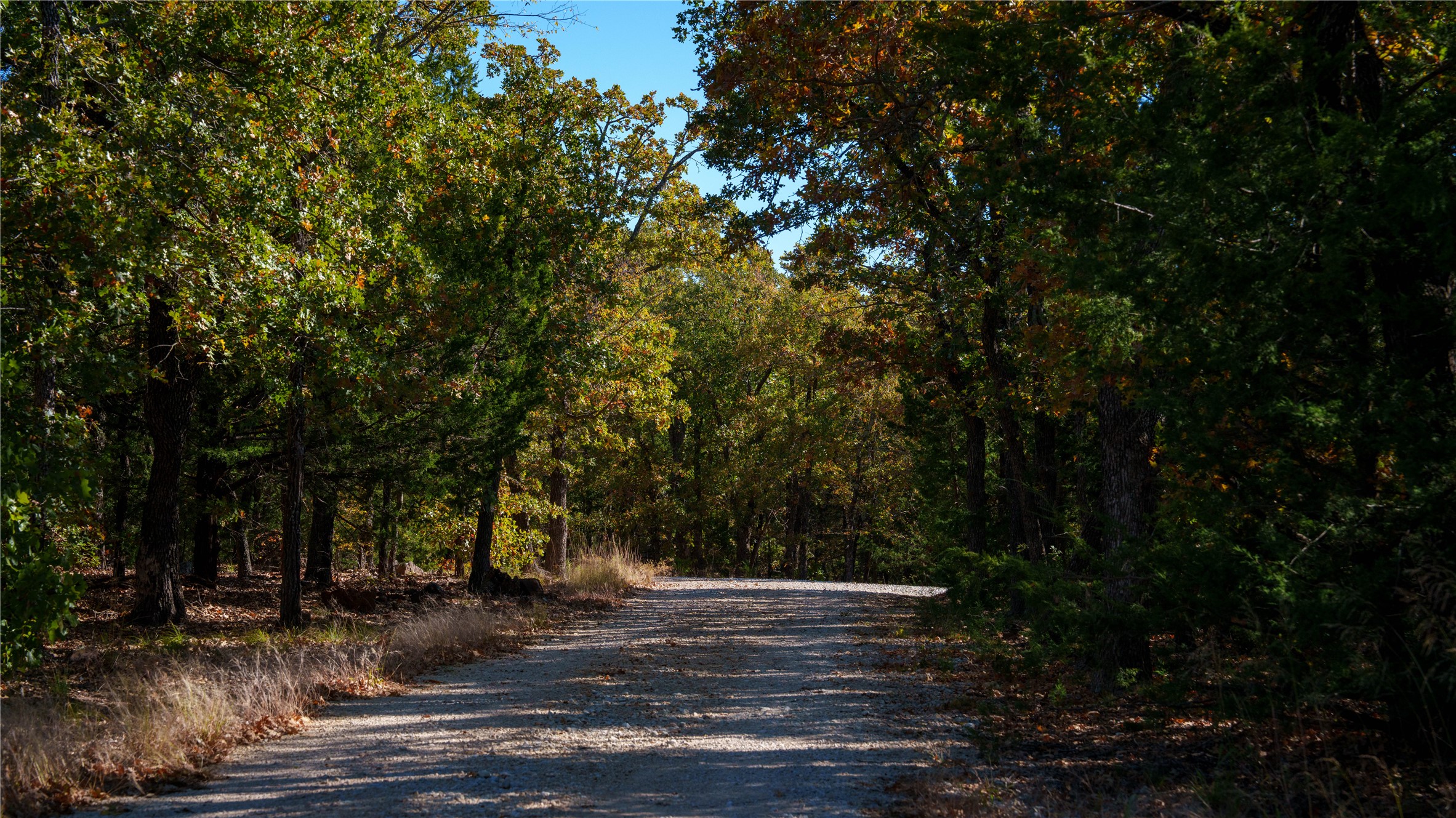 1210 County Road 232