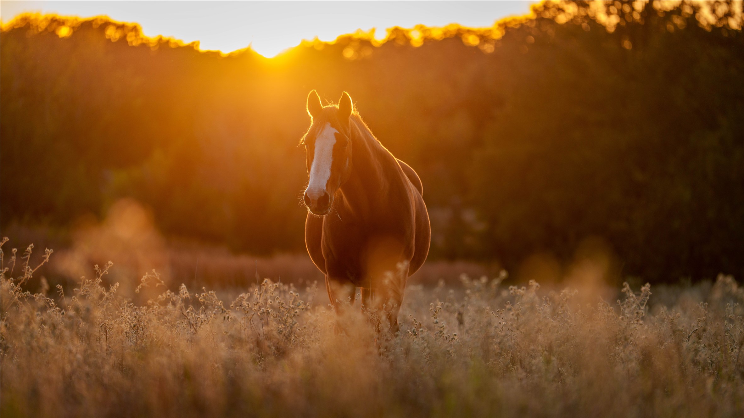 1210 County Road 232