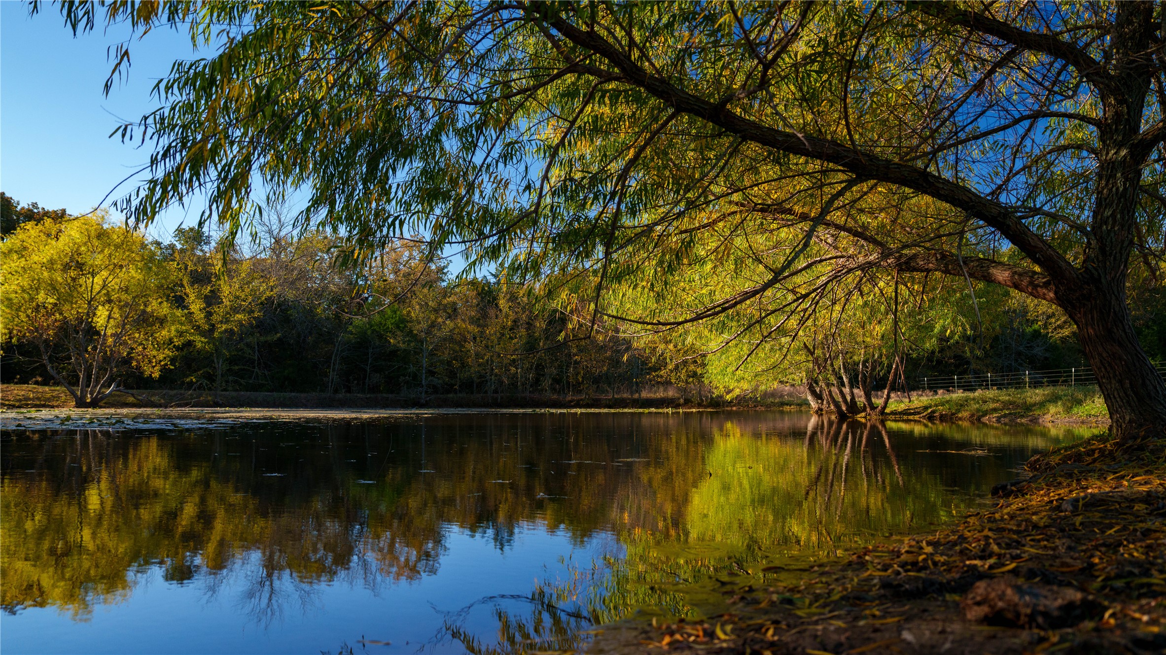 1210 County Road 232