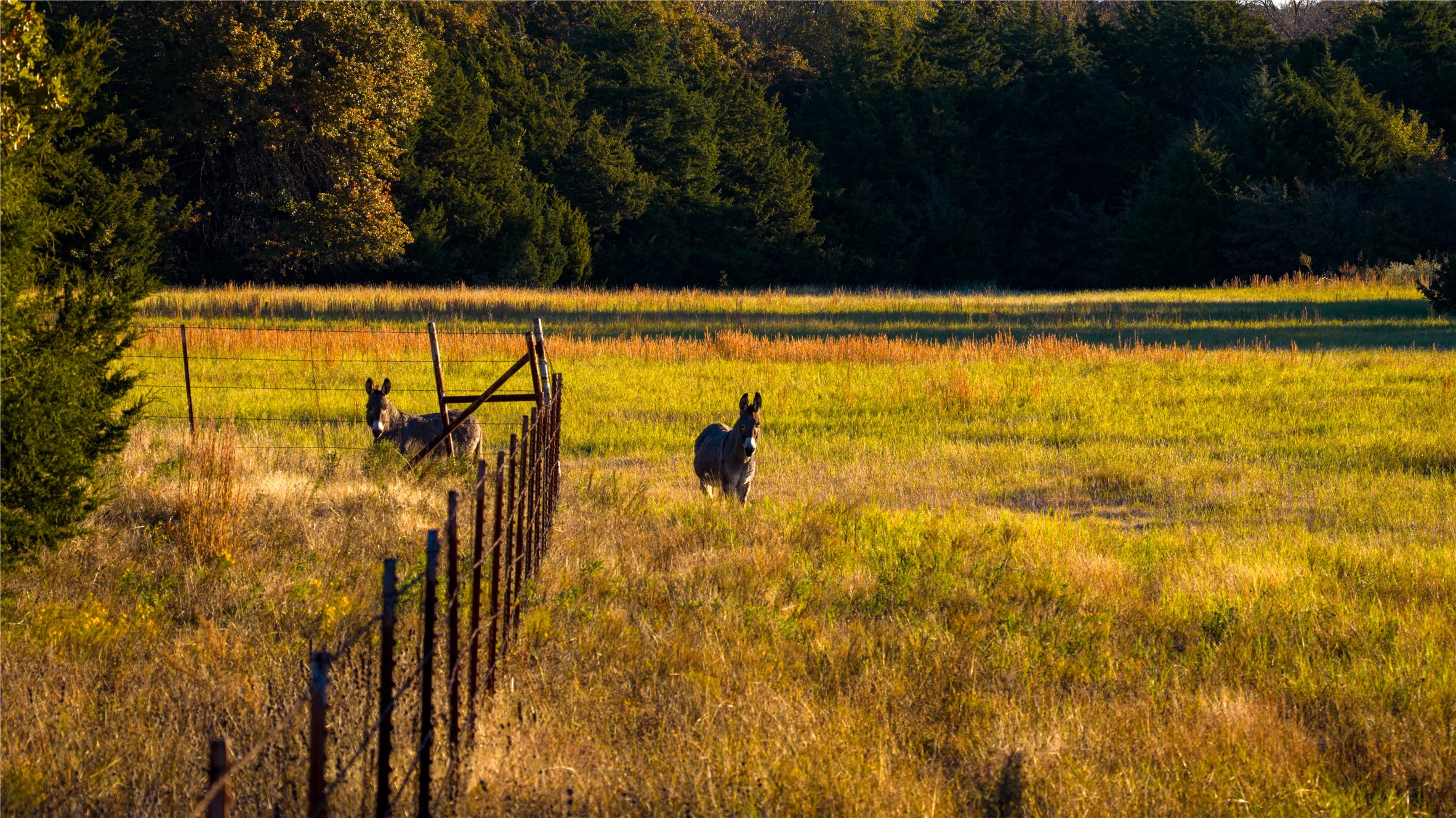 1210 County Road 232