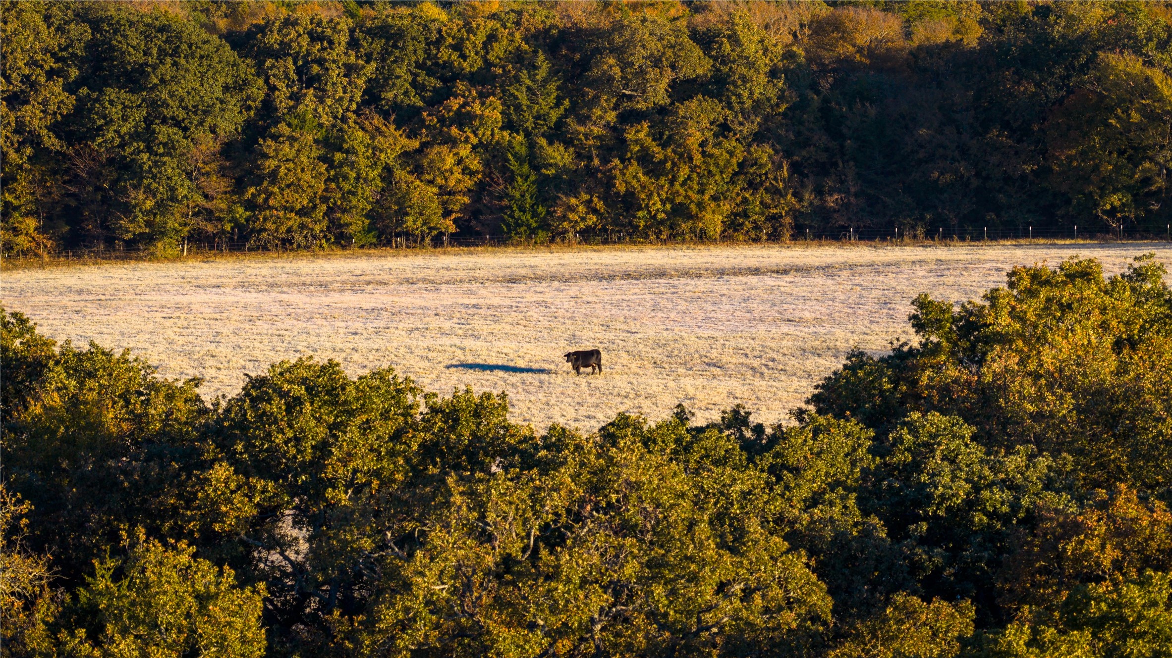 1210 County Road 232