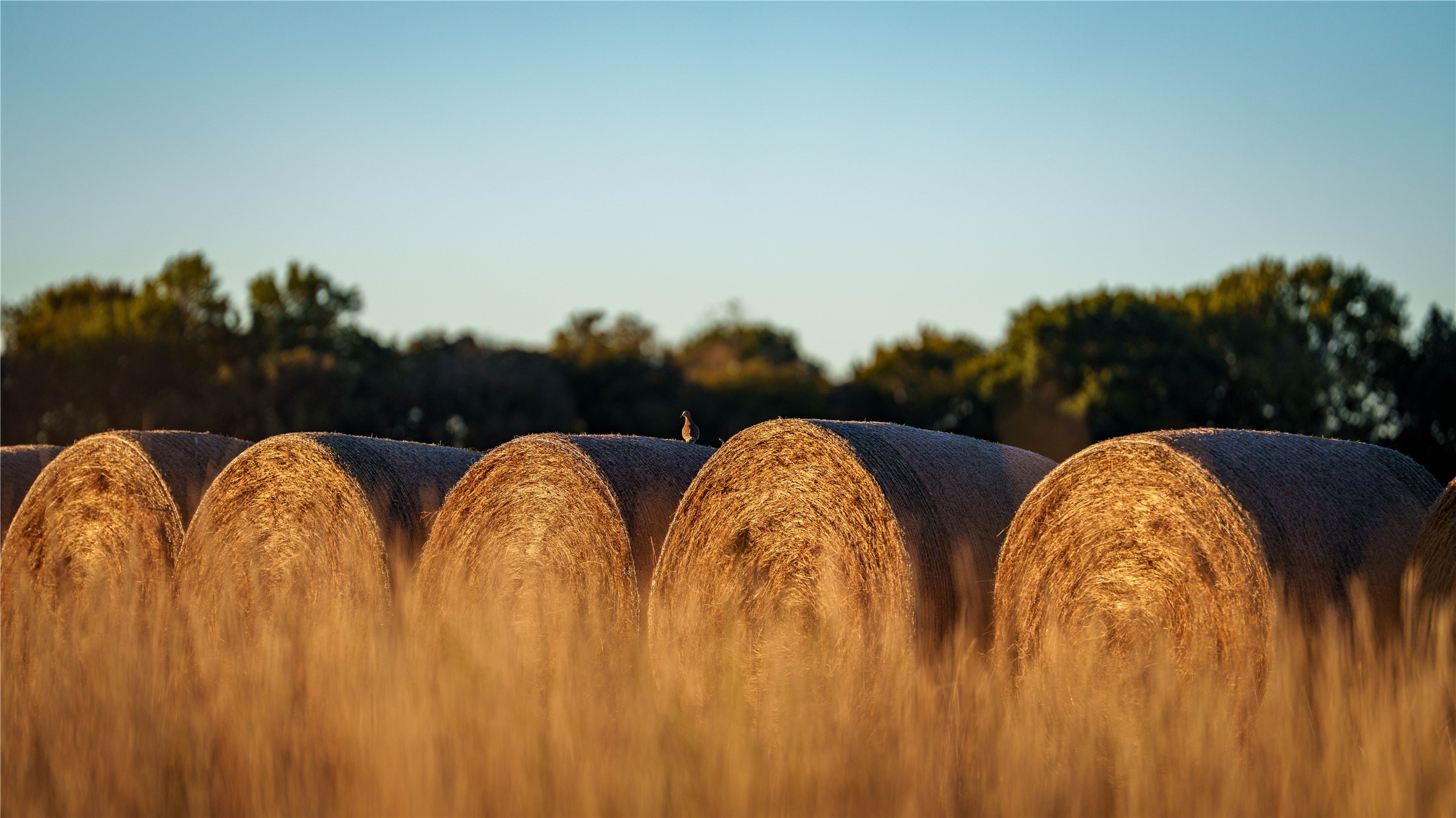 124 Private Road 3209