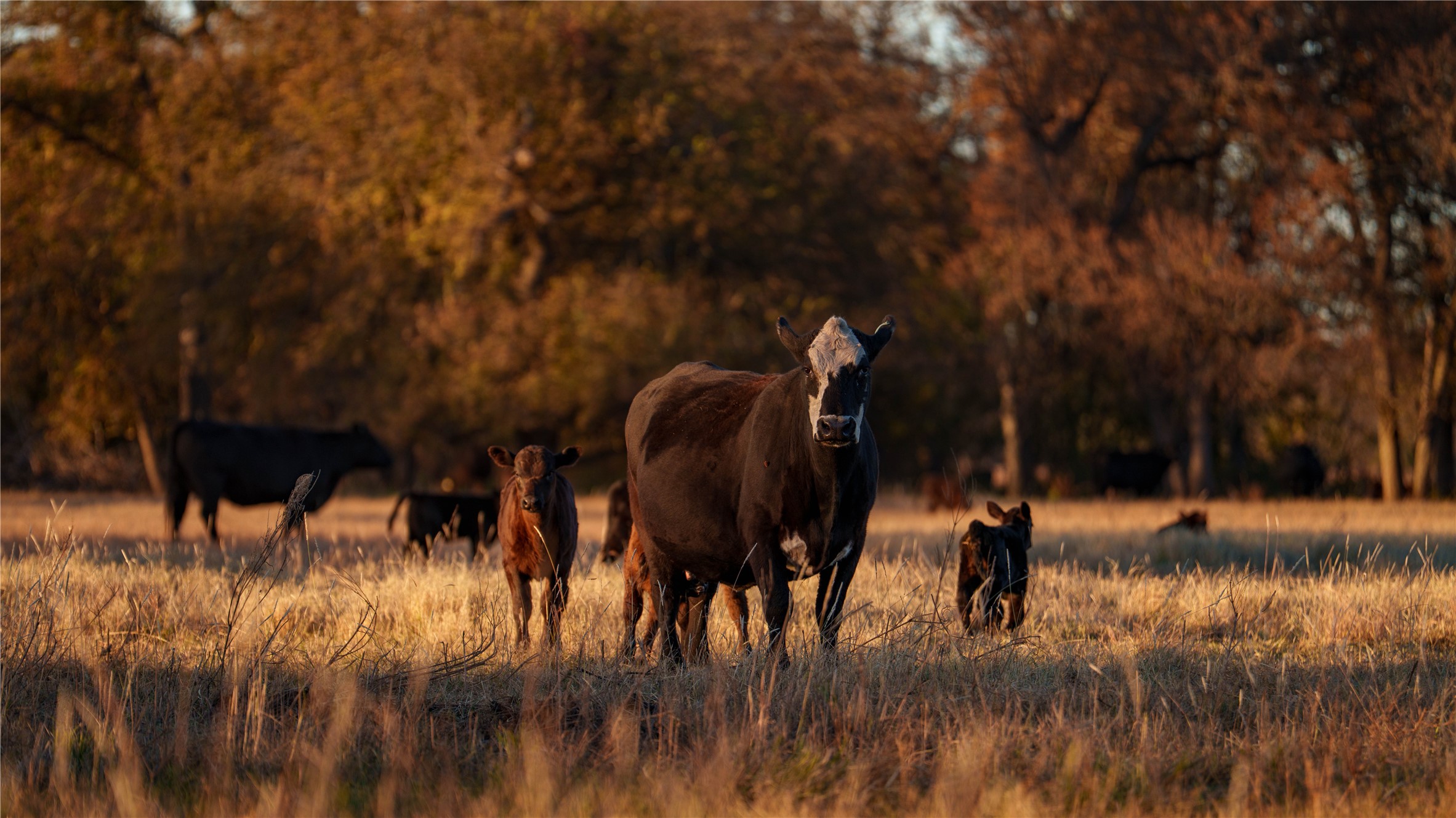 124 Private Road 3209