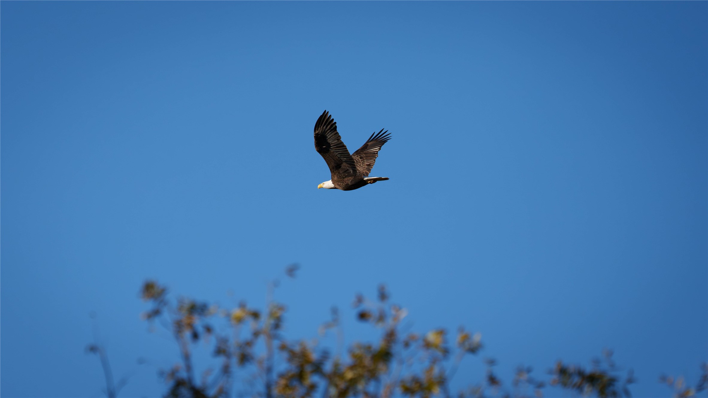 124 Private Road 3209