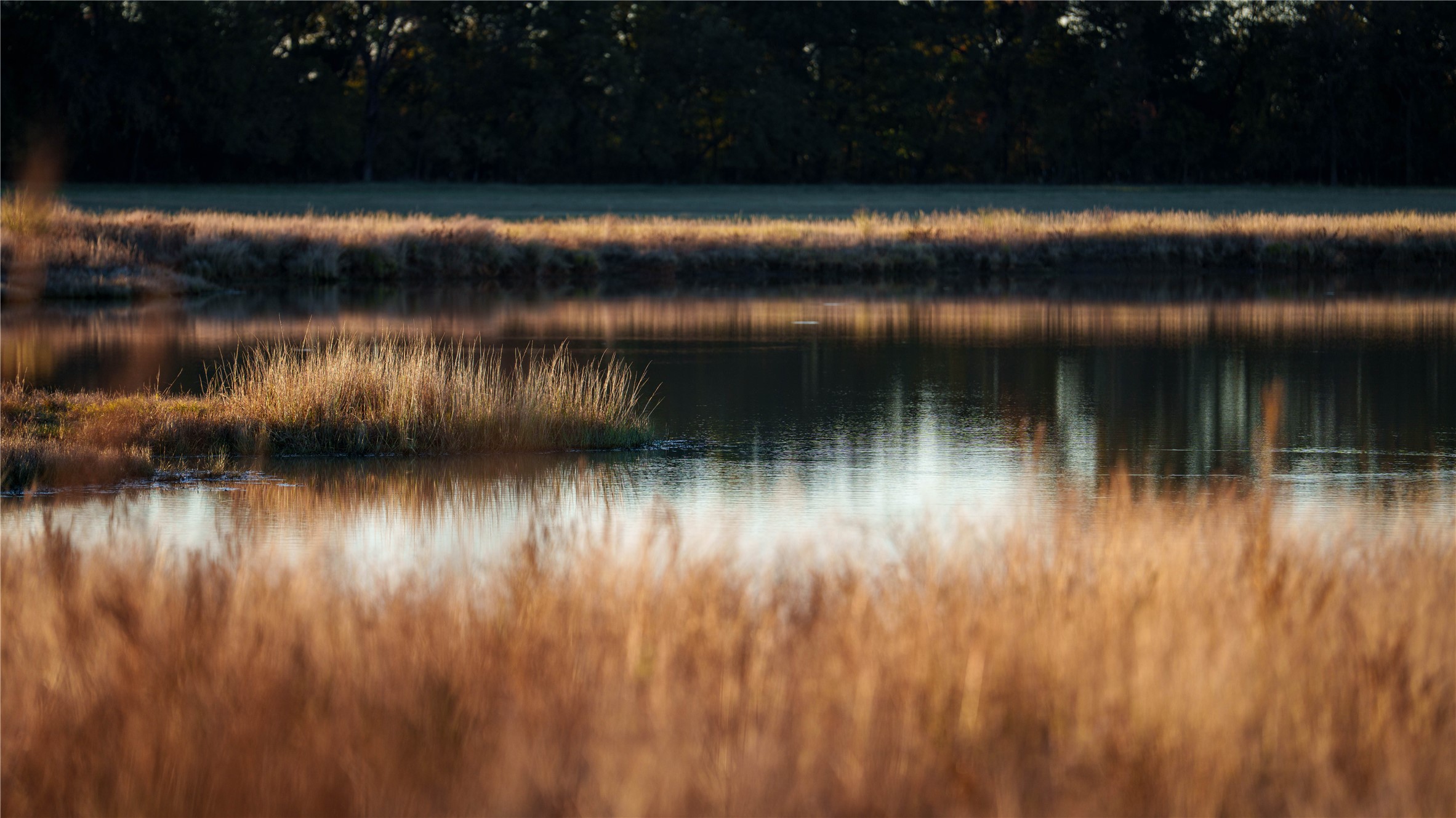 124 Private Road 3209