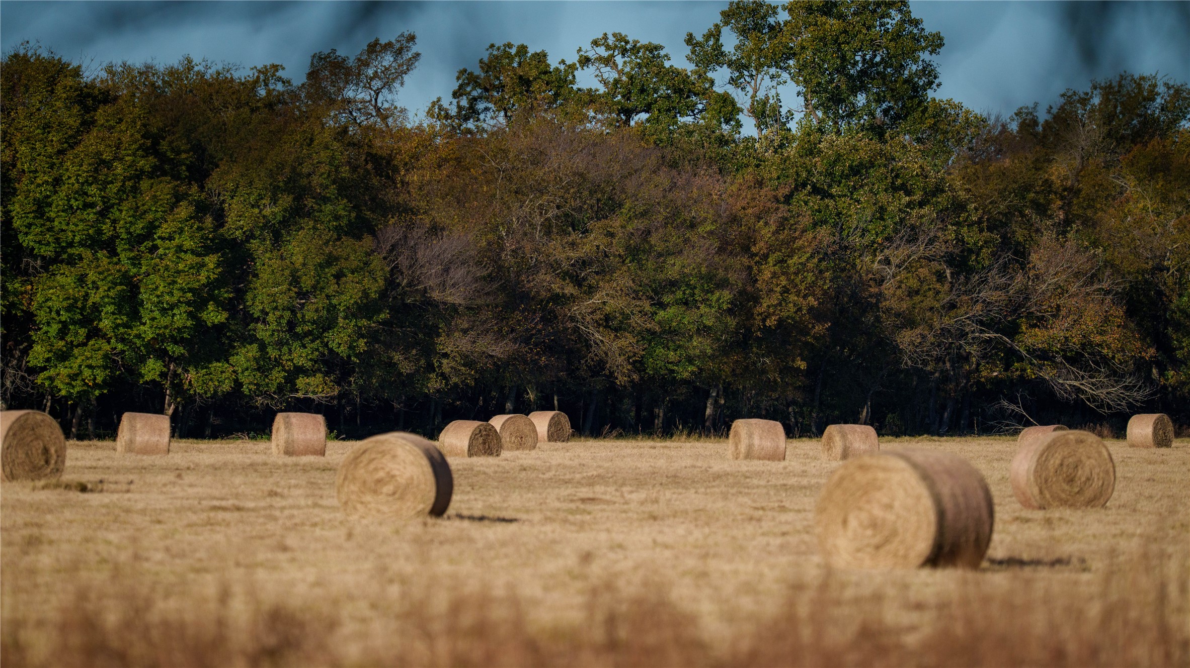 124 Private Road 3209