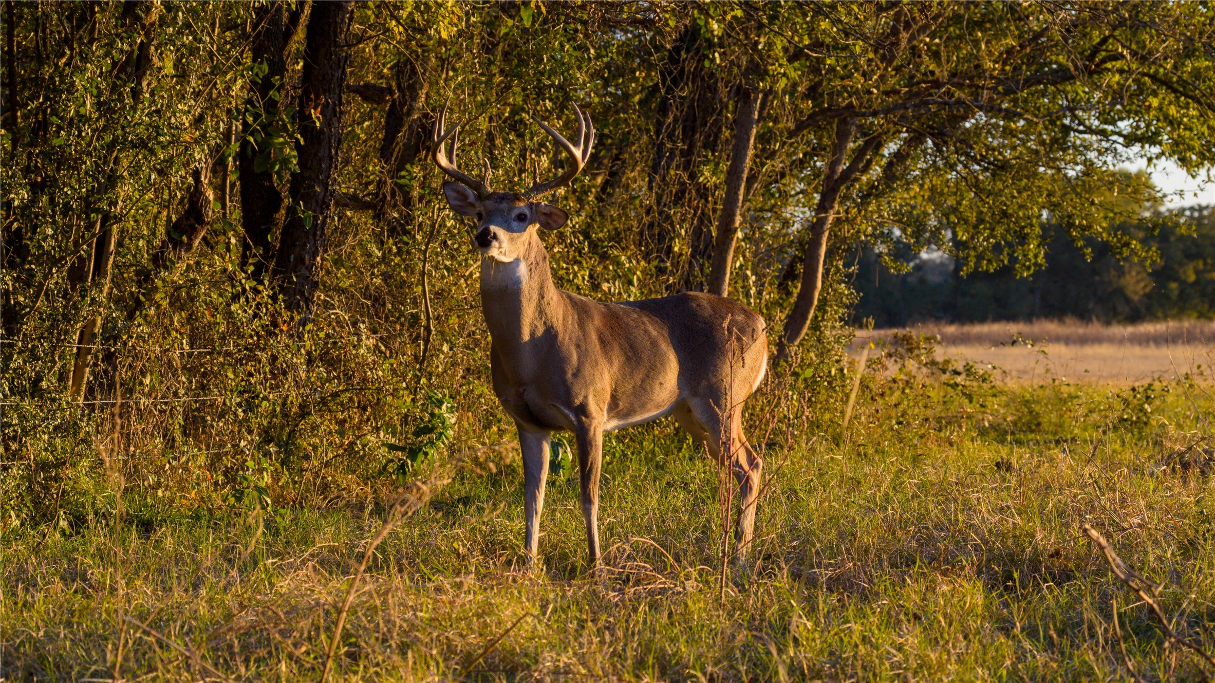 124 Private Road 3209