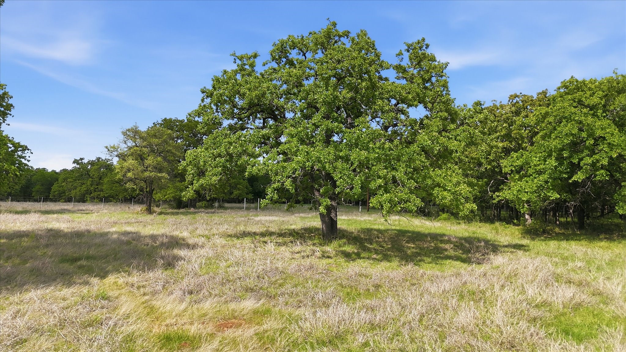 400 River Ranch Road