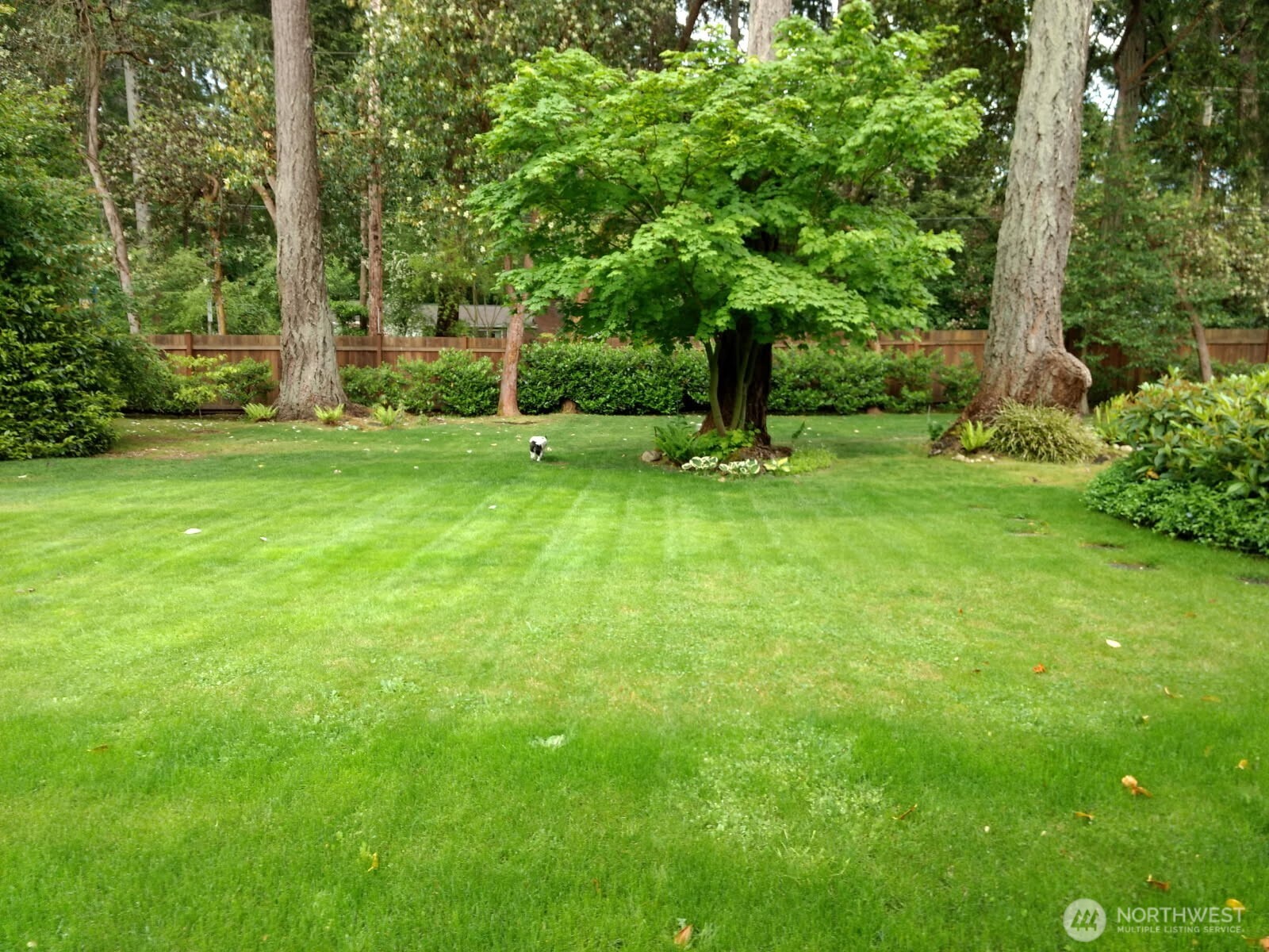 6612 Linwood Lane SW