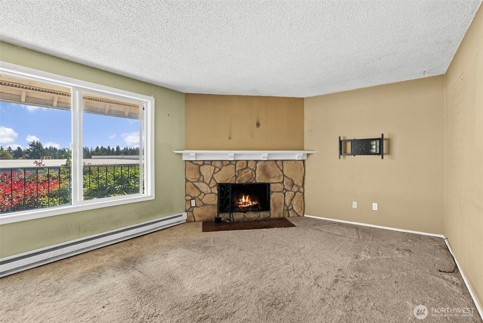 1003 S Pearl Street Unit: B15