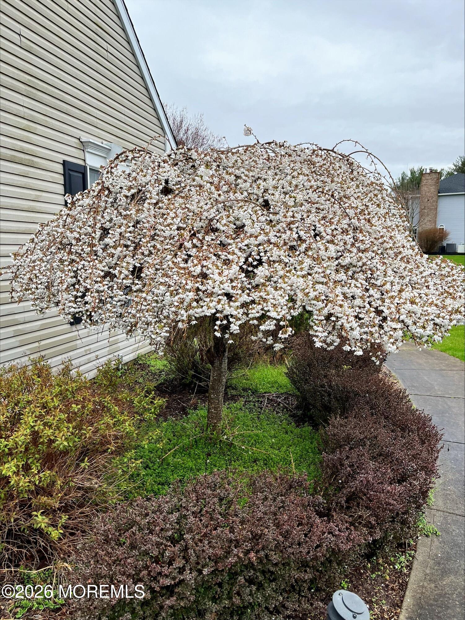22 Windswept Lane
