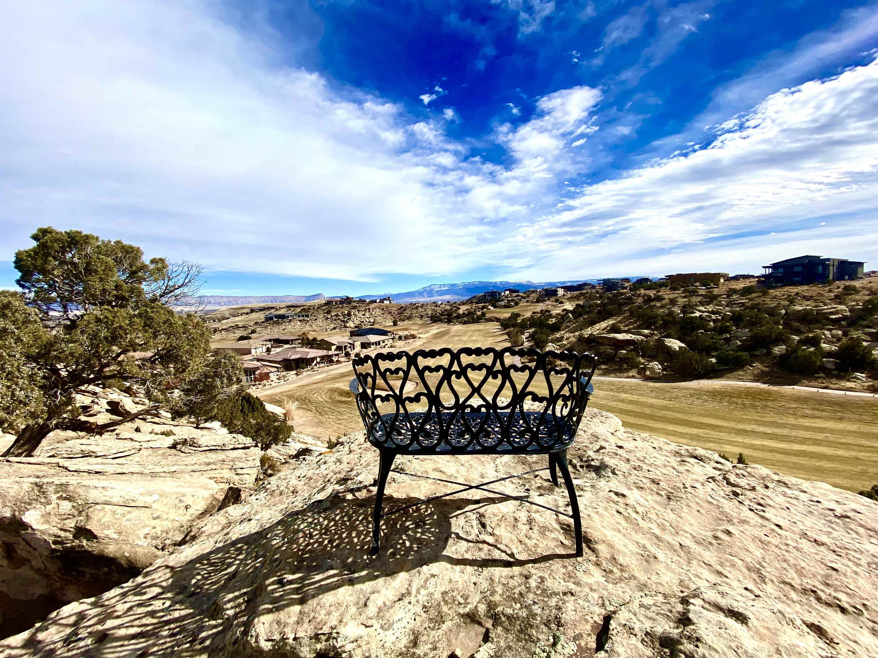 2355 Yellow Cat Court