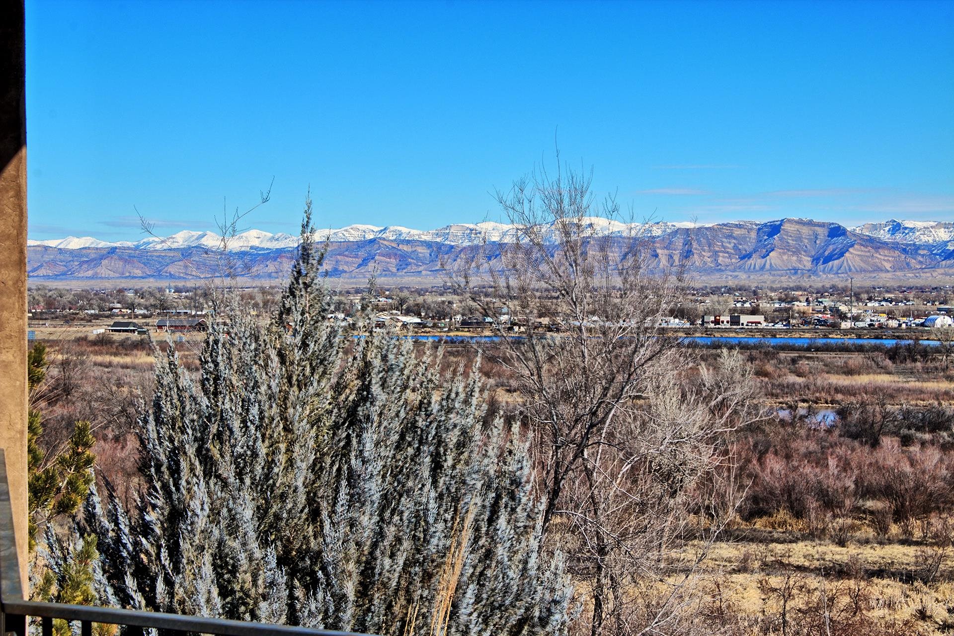 2061 Sidewinder Court