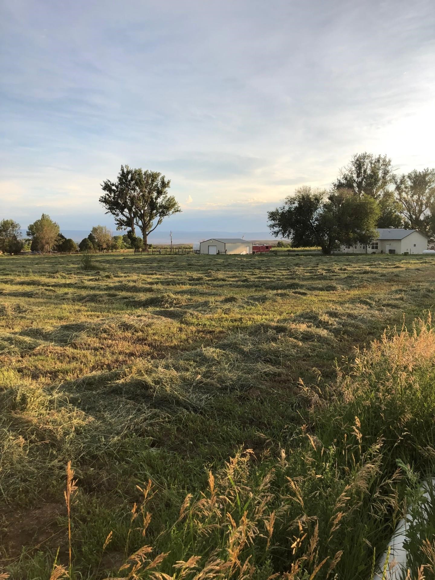 12480 Running Deer Road