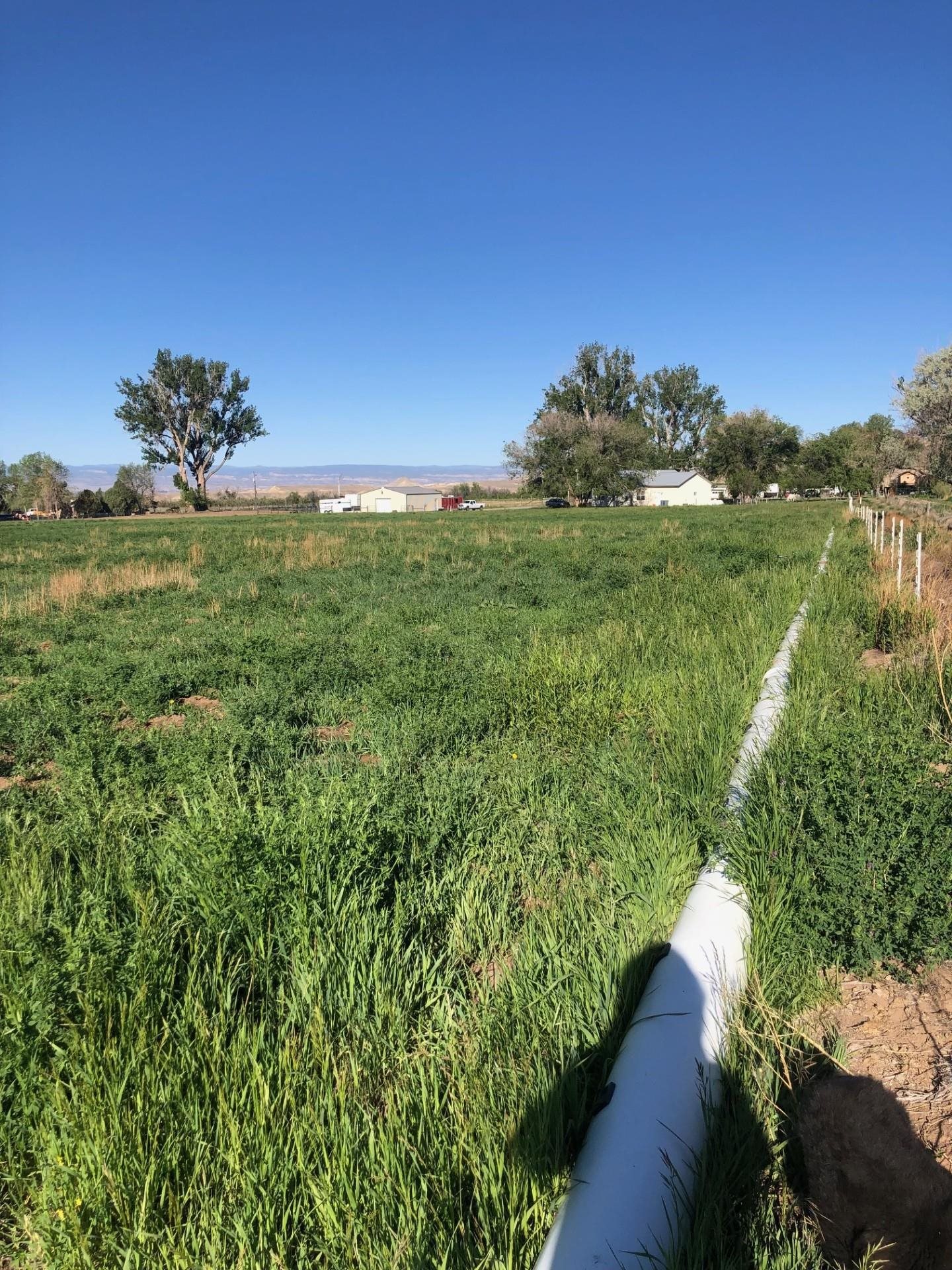 12480 Running Deer Road