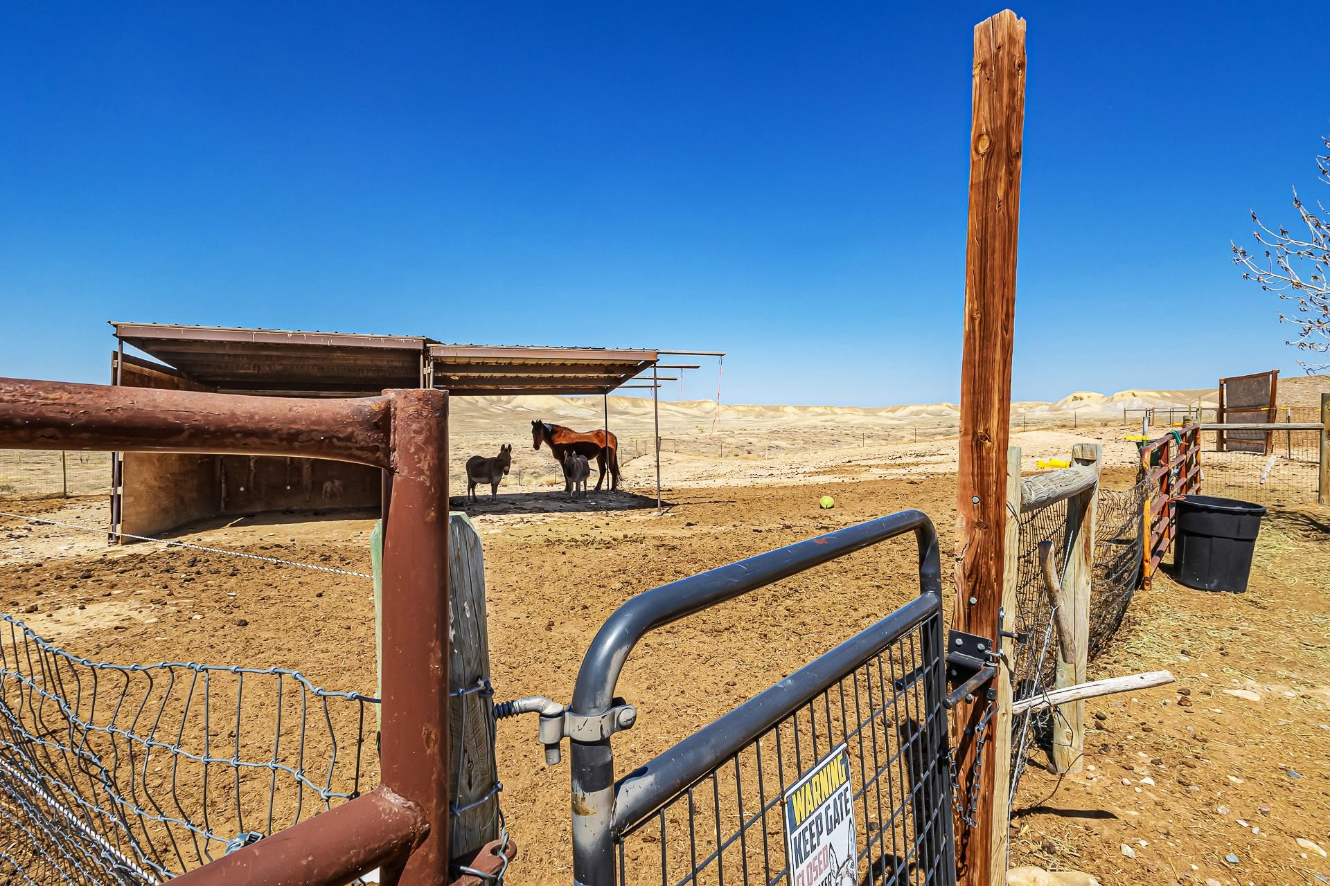 33104 Willow Bend Road