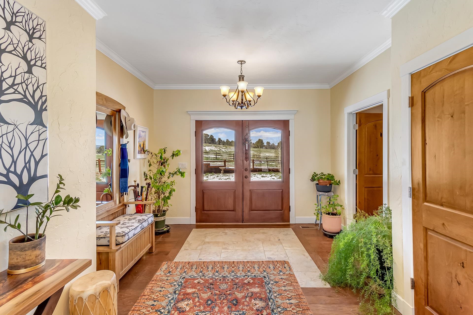 2605 Antler Court