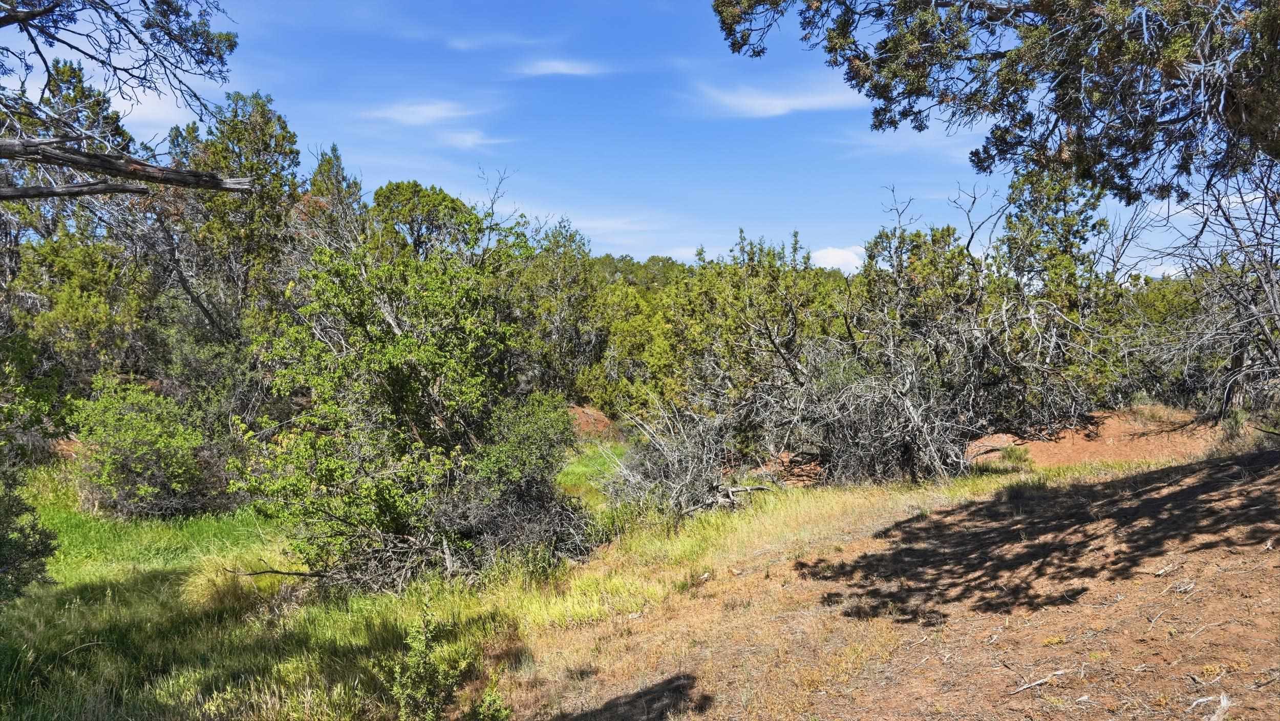 14401 Apache Lane