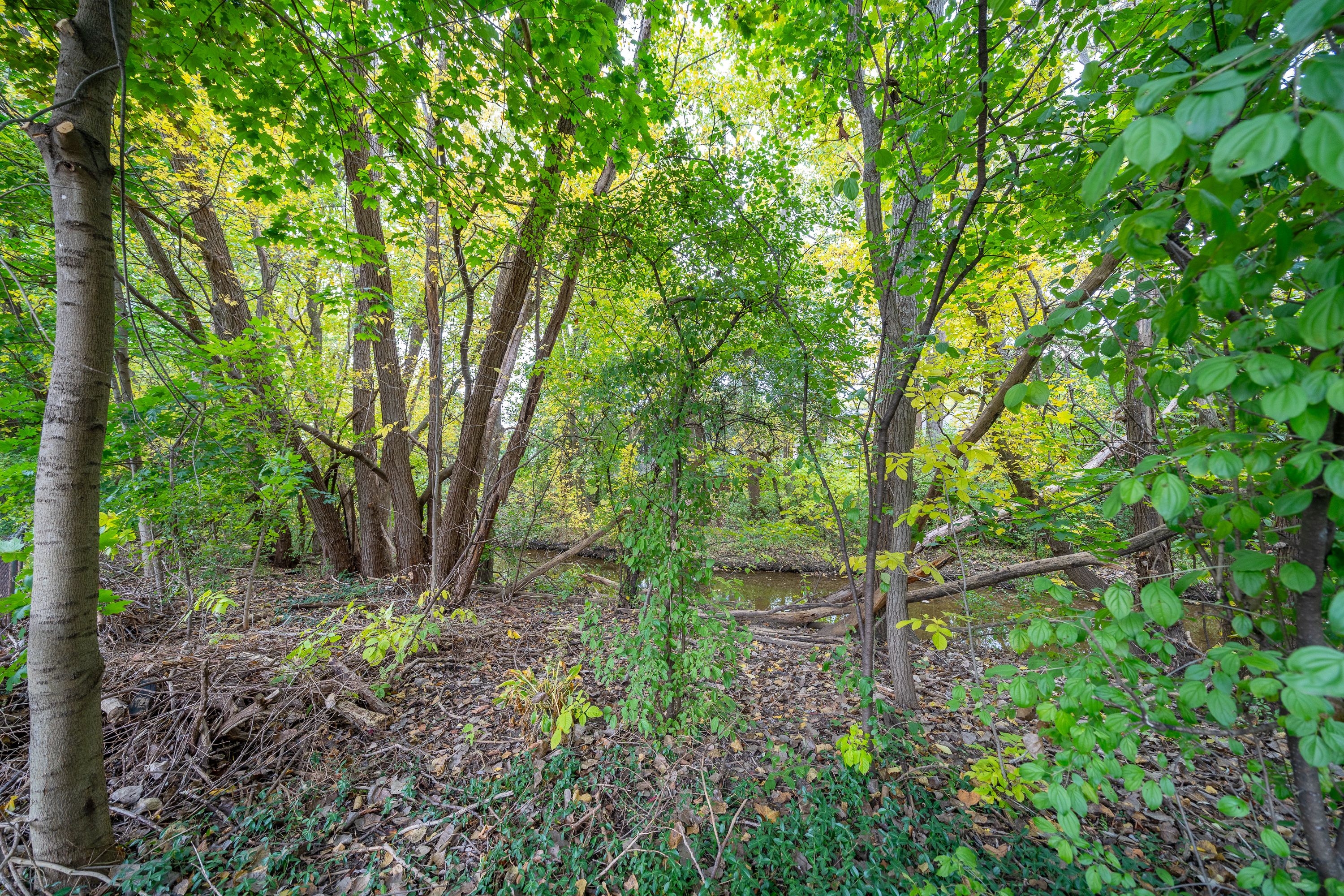 2397 WALTHAM Drive