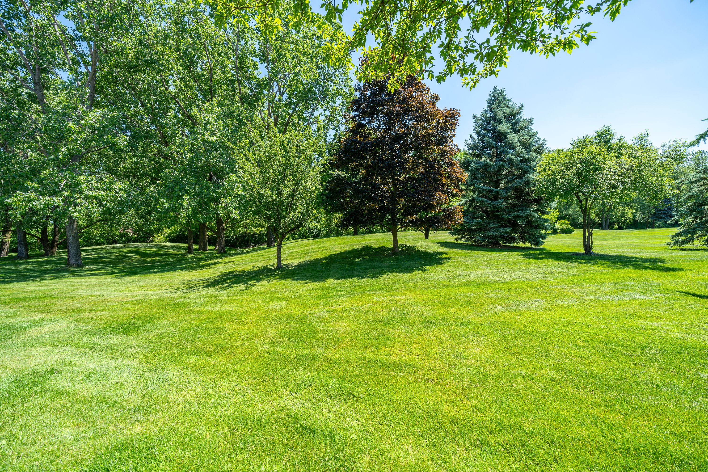 2163 ROCHELLE PARK Drive