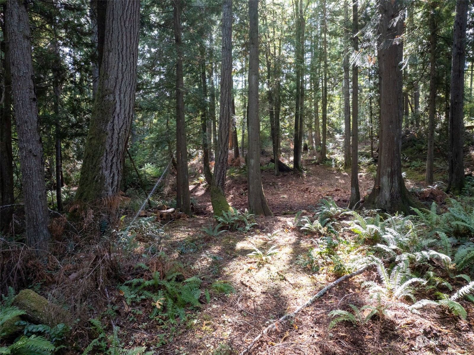 0 NW Wildcat Lake Road