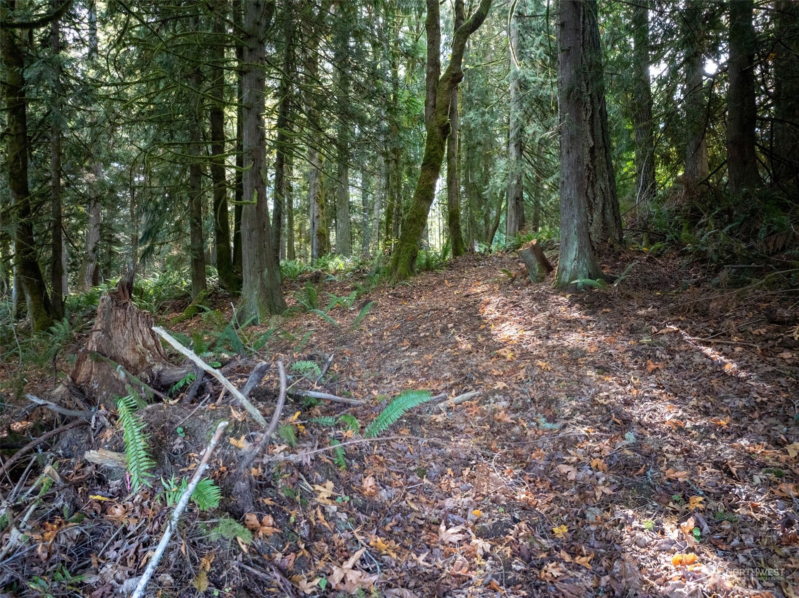 0 NW Wildcat Lake Road