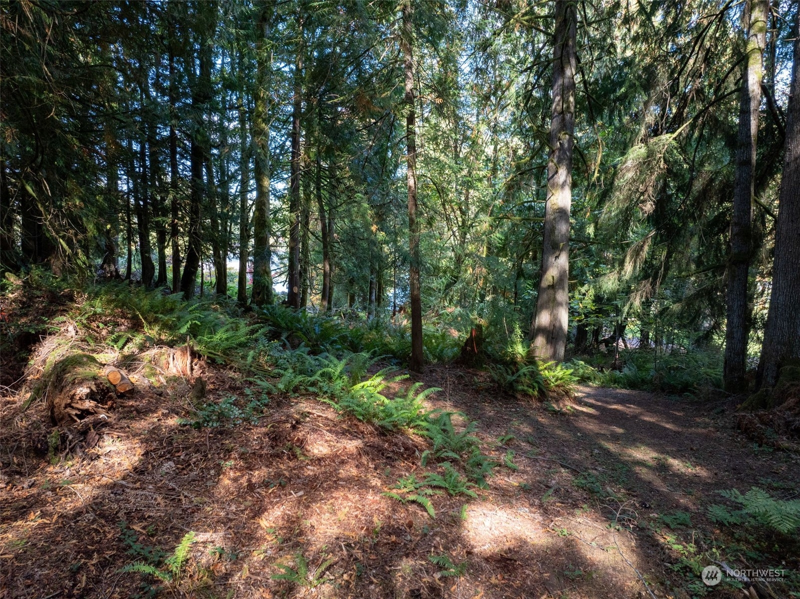 0 NW Wildcat Lake Road
