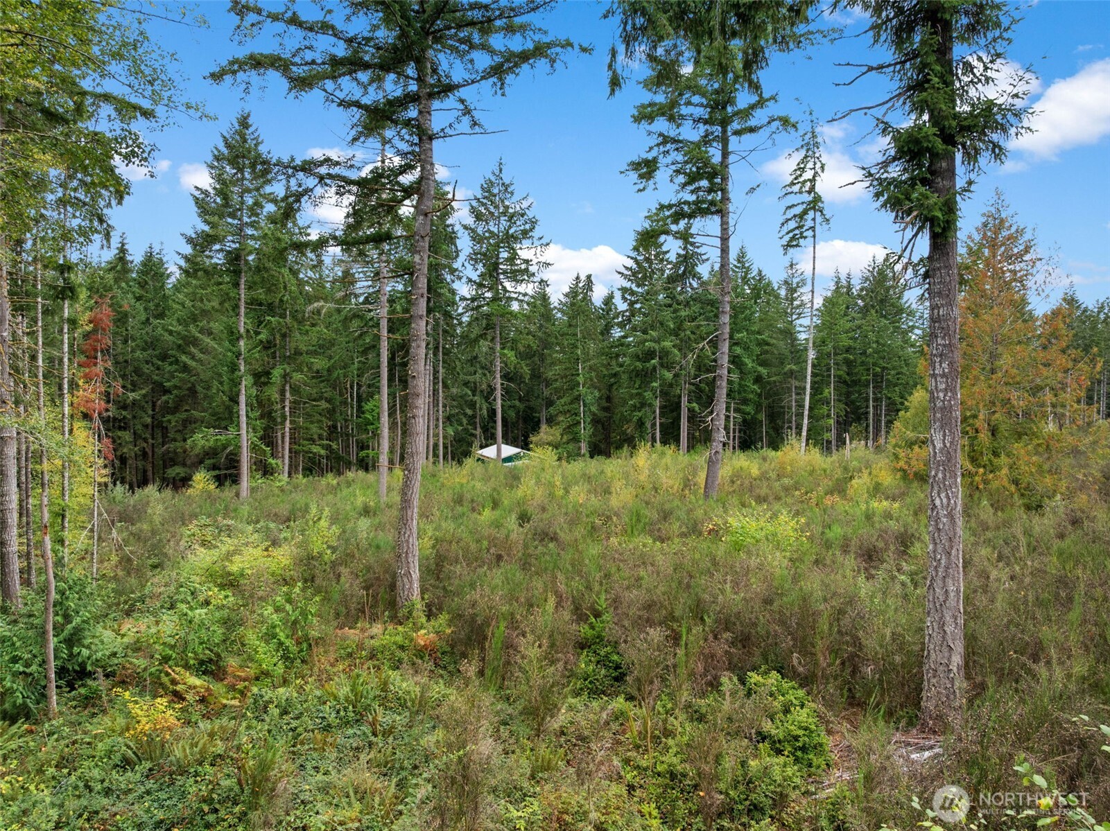 15608 176th Avenue NW