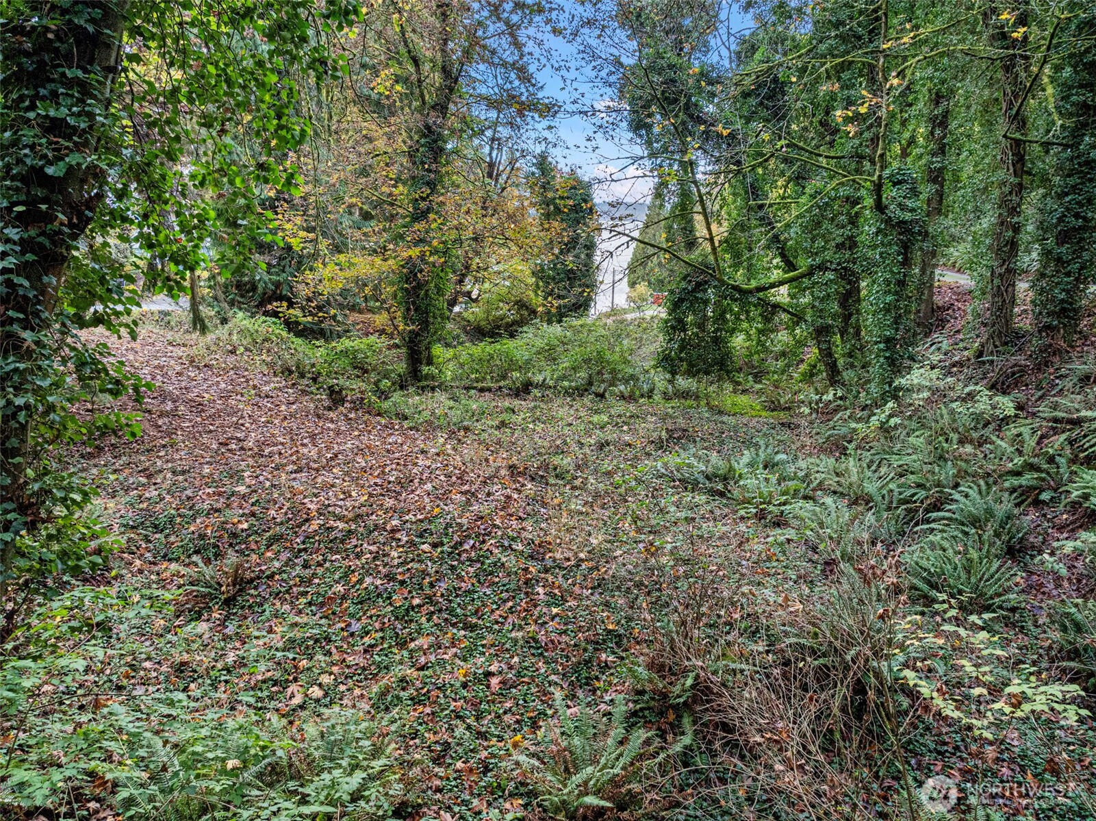 2004 Lybecker Drive NW