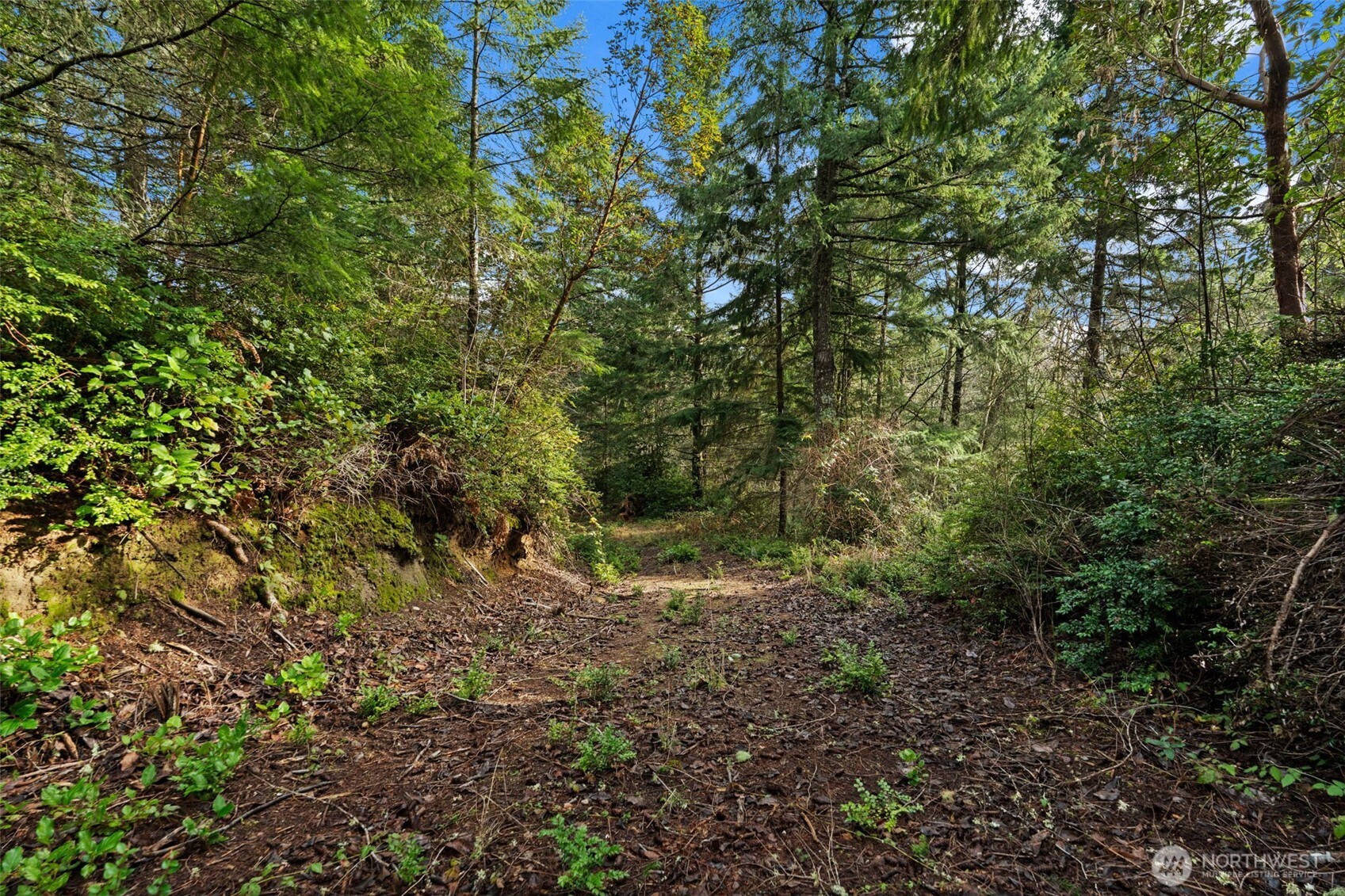 0 Willow Road SE