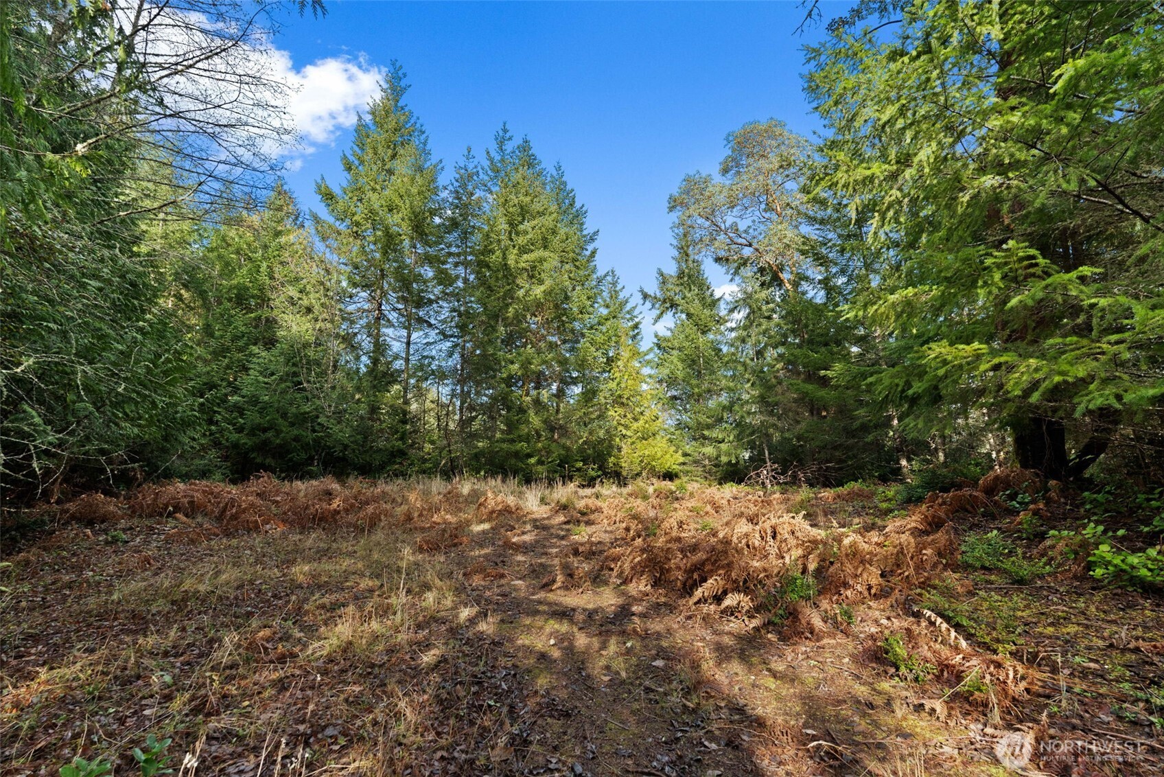 0 Willow Road SE