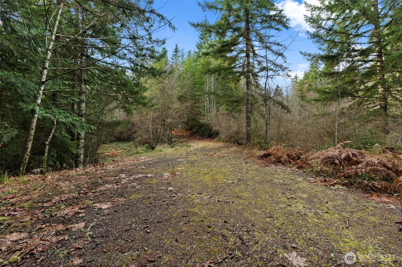 0 Willow Road SE