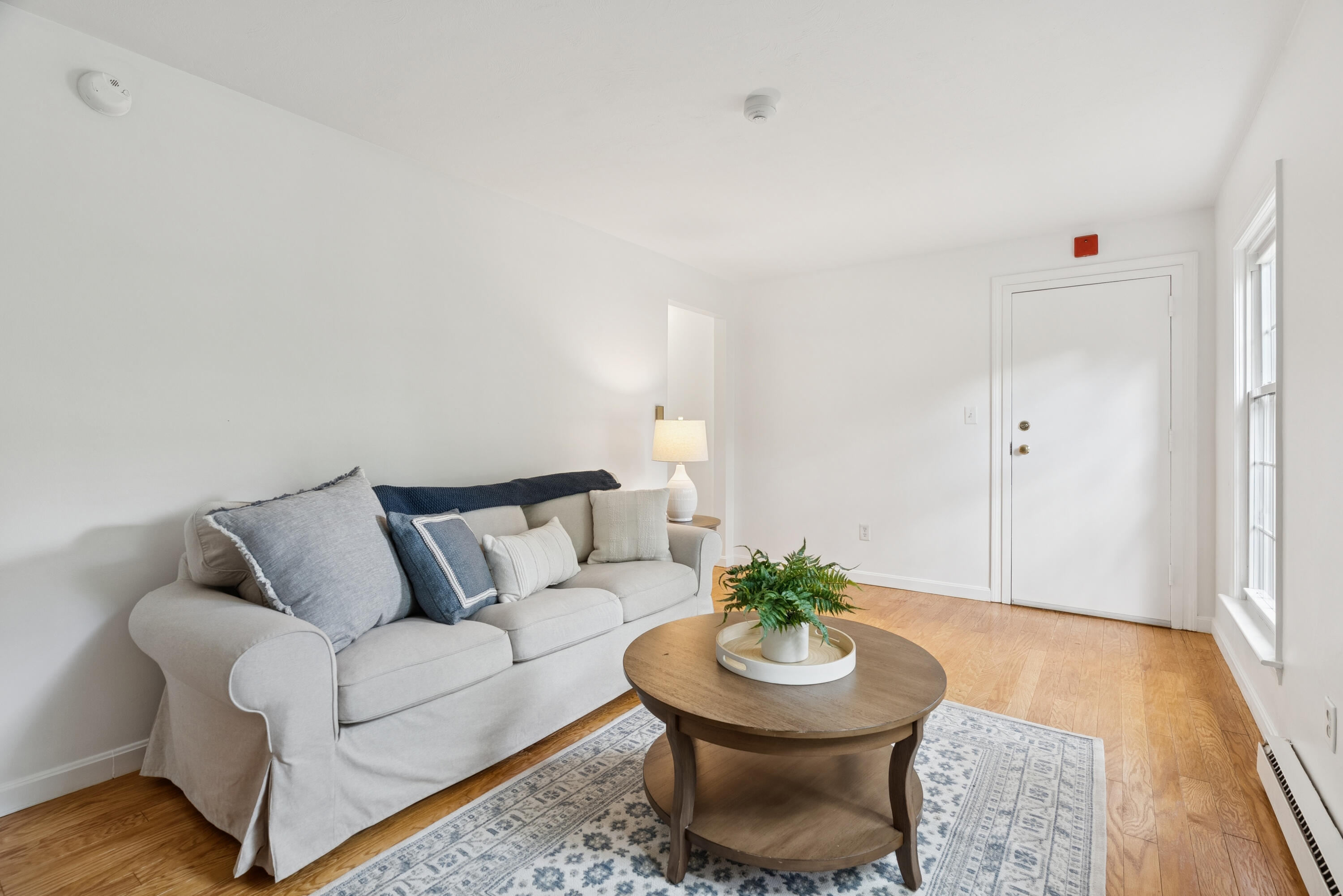 179 Pine Street, 1B