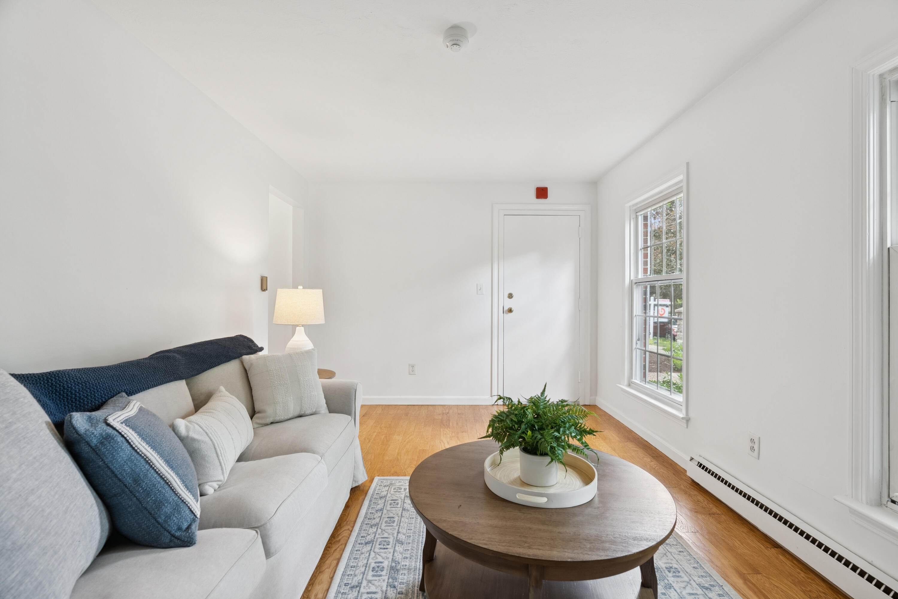 179 Pine Street, 1B