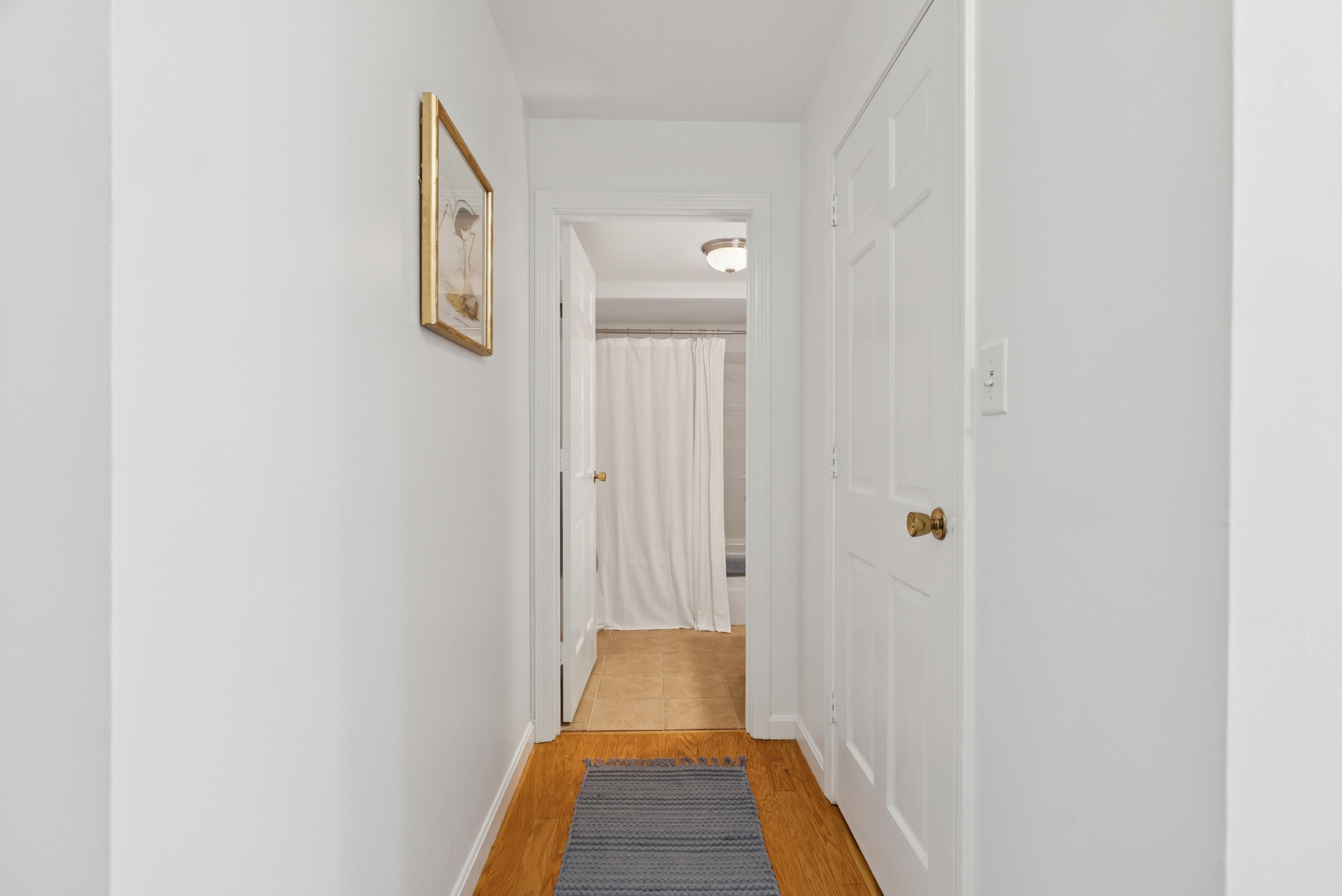 179 Pine Street, 1B