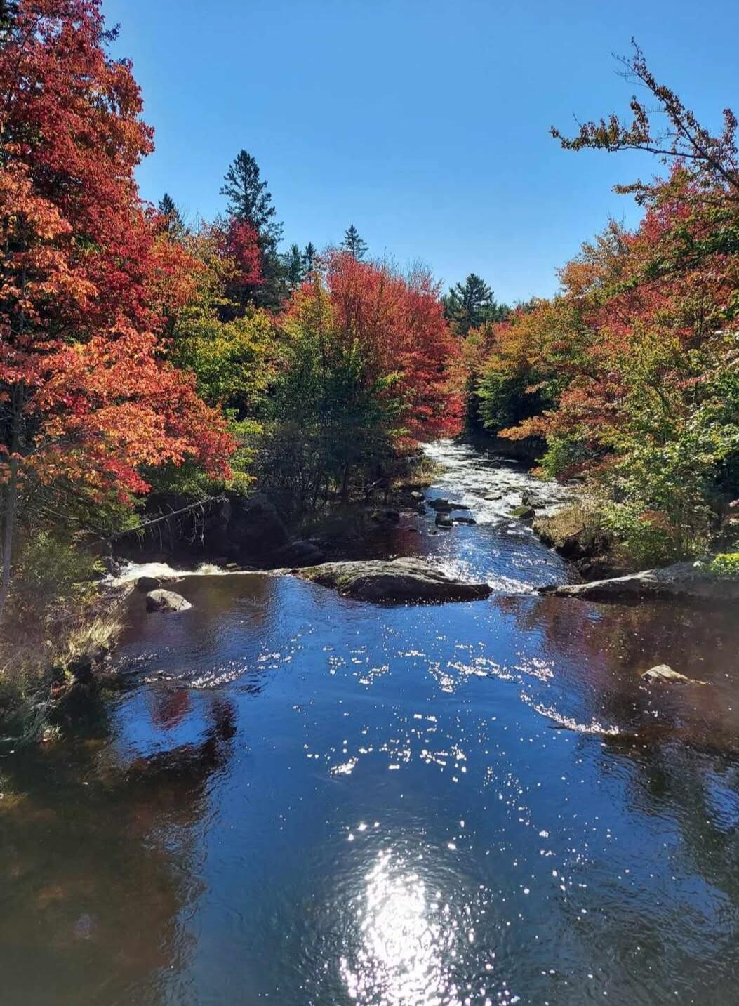 425 Saco Road