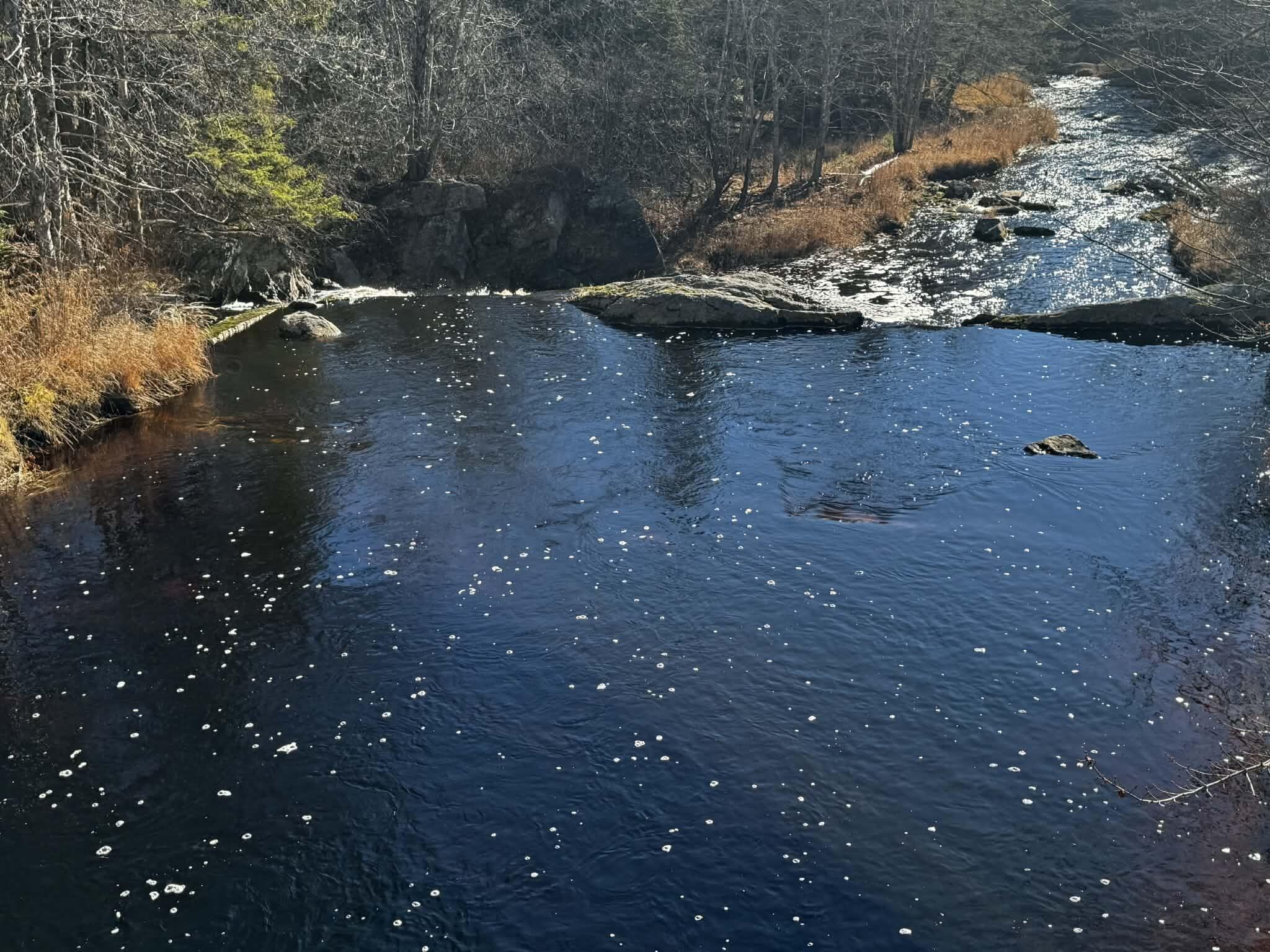 425 Saco Road